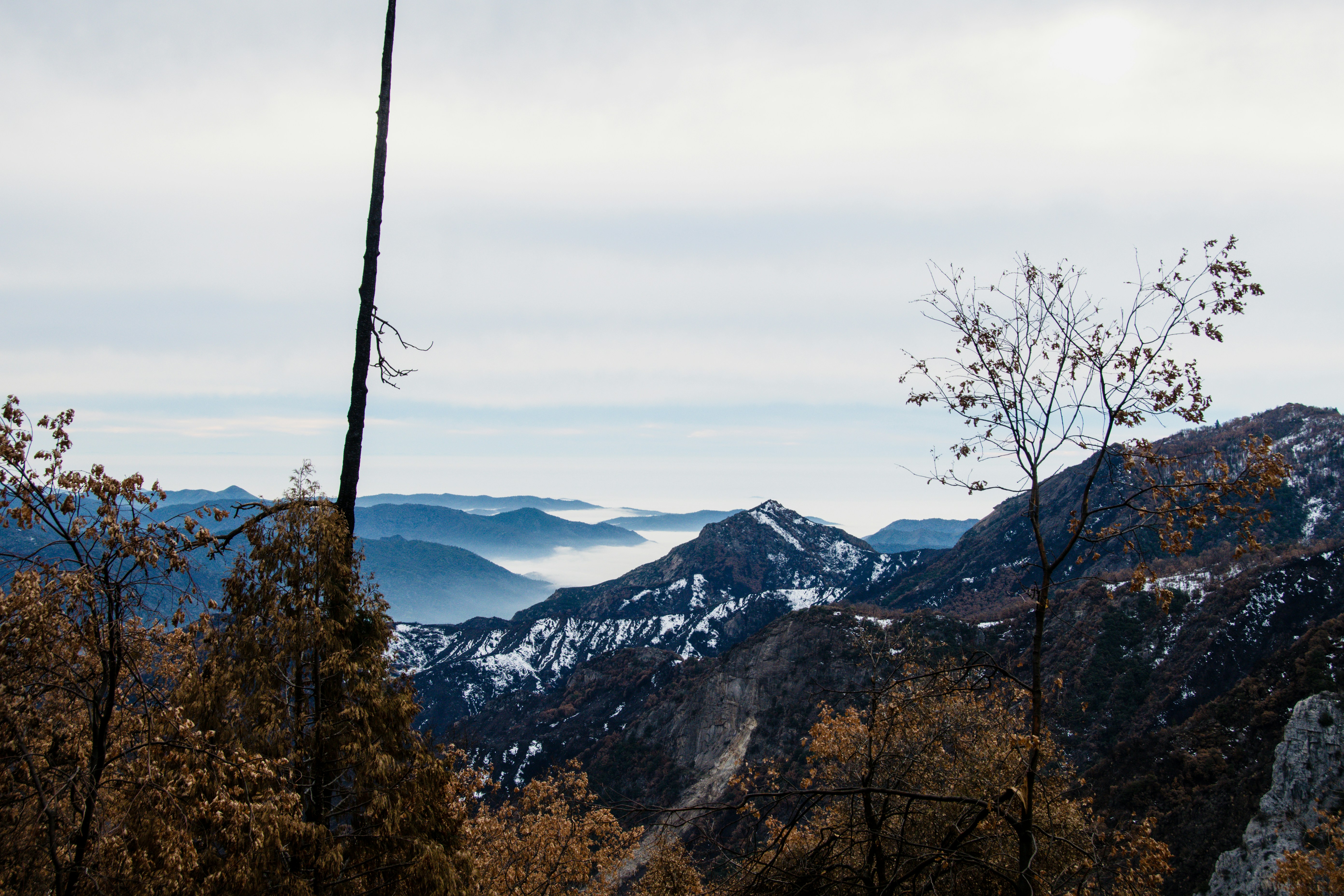 Photo by jackcharles