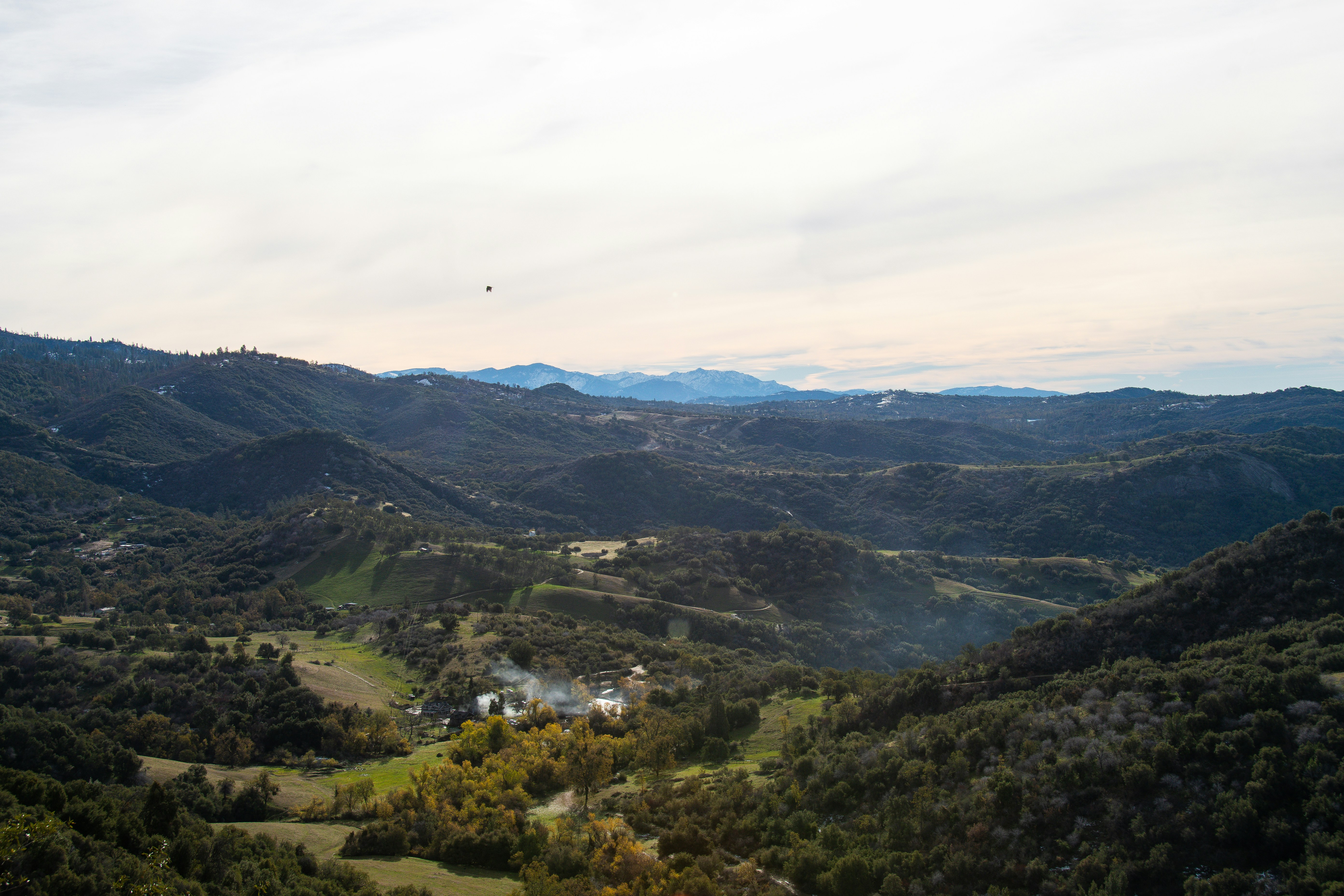 Photo by jackcharles