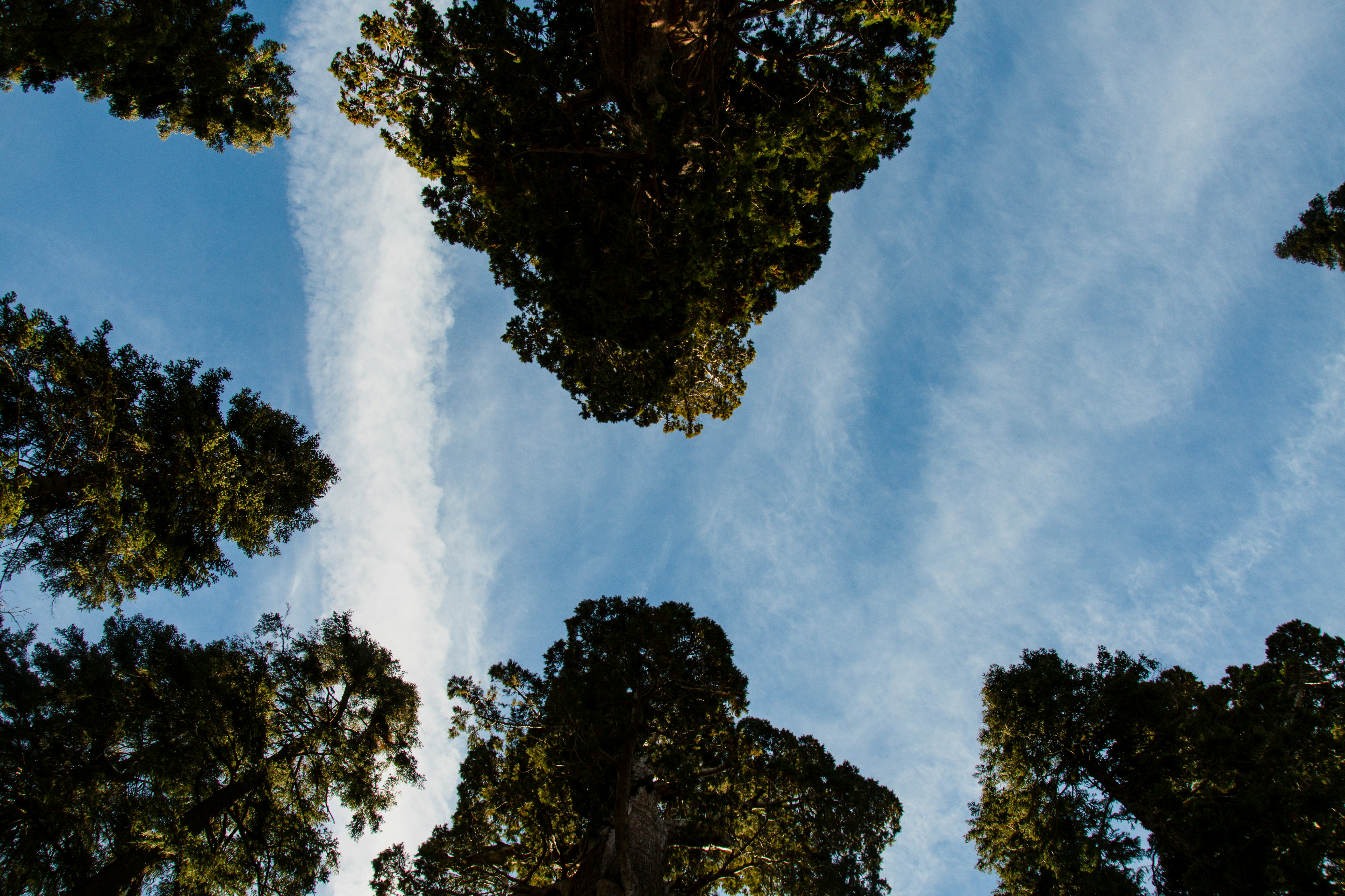 Photo by jackcharles