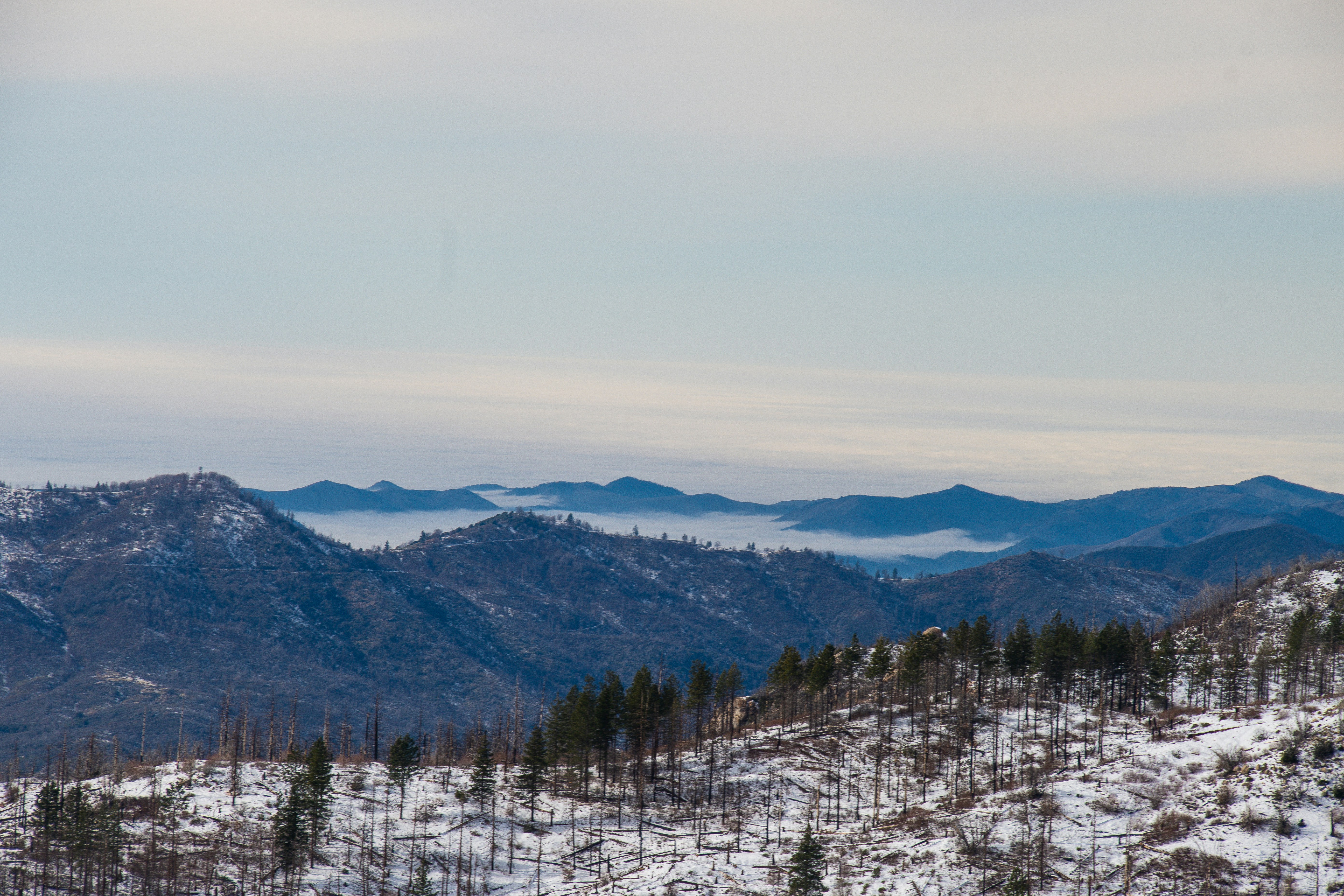 Photo by jackcharles