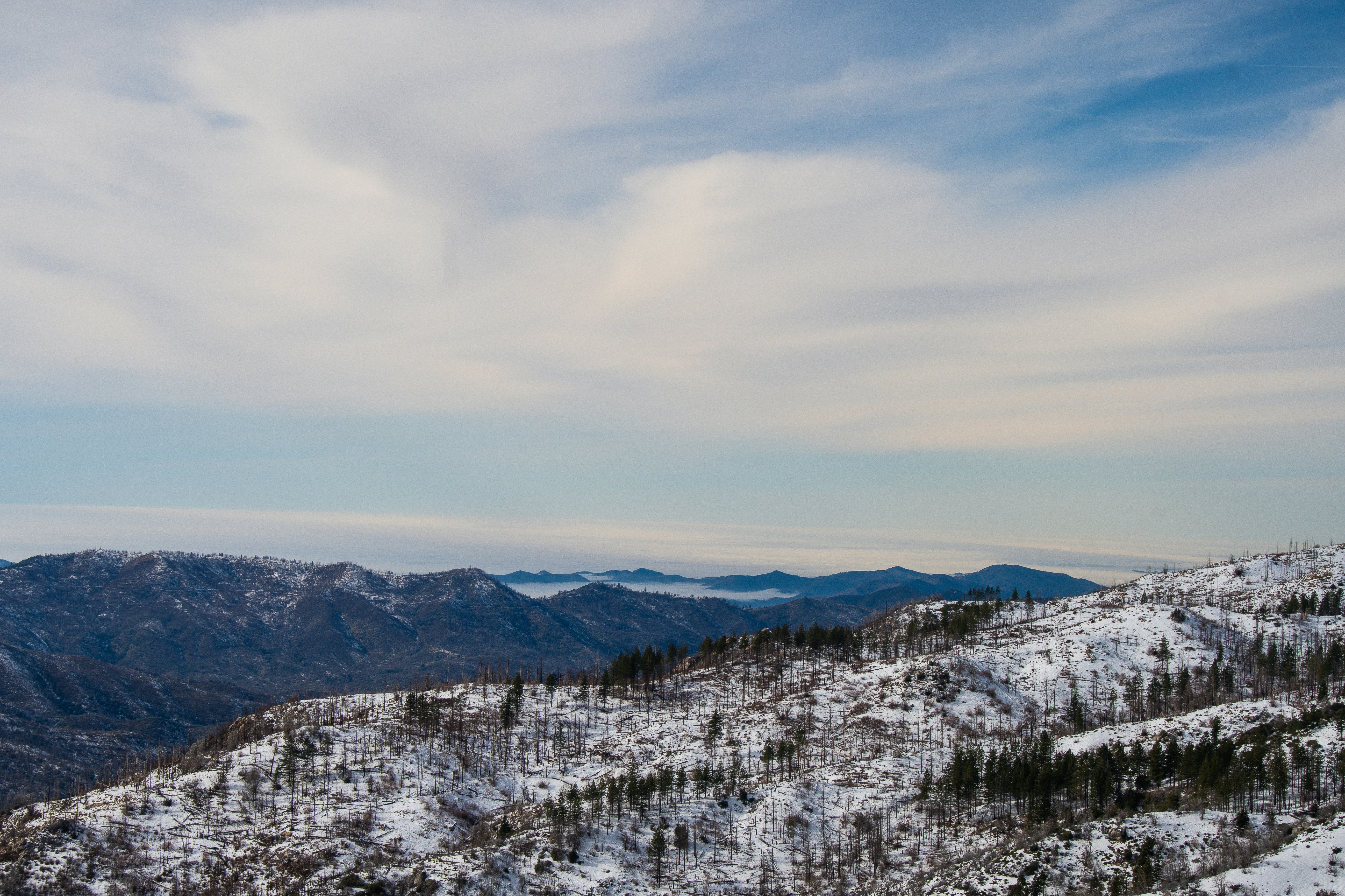 Photo by jackcharles