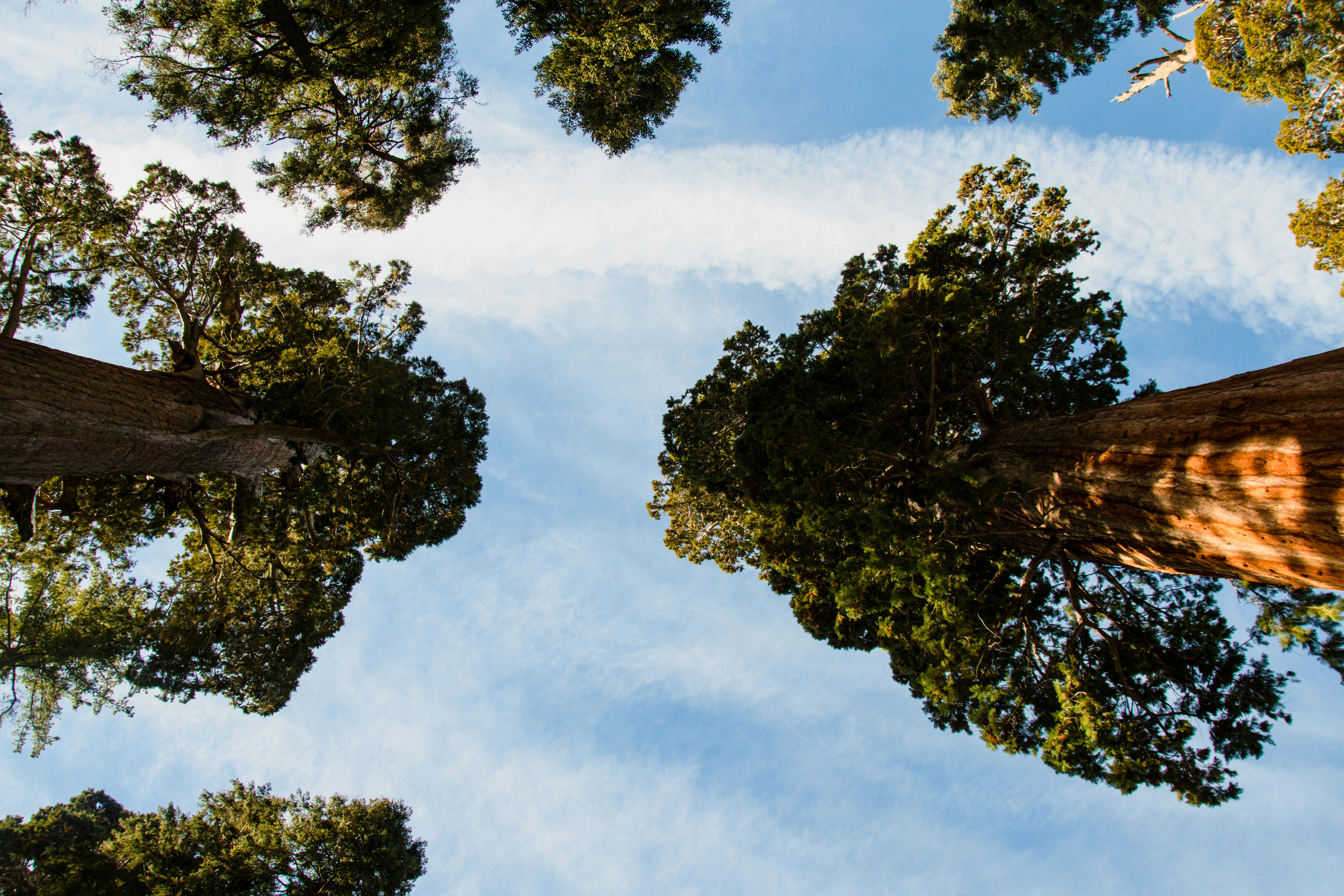 Photo by jackcharles