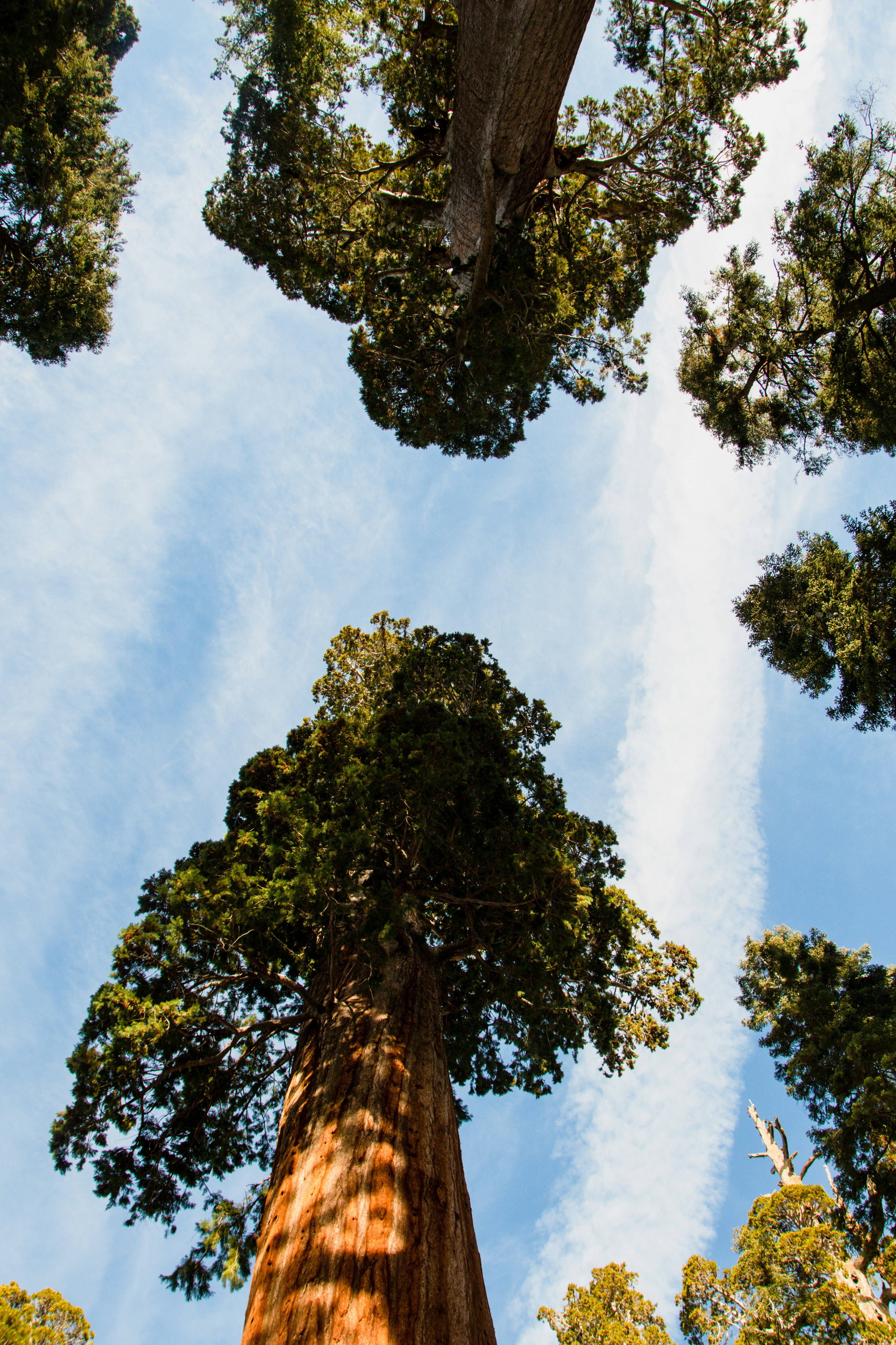 Photo by jackcharles