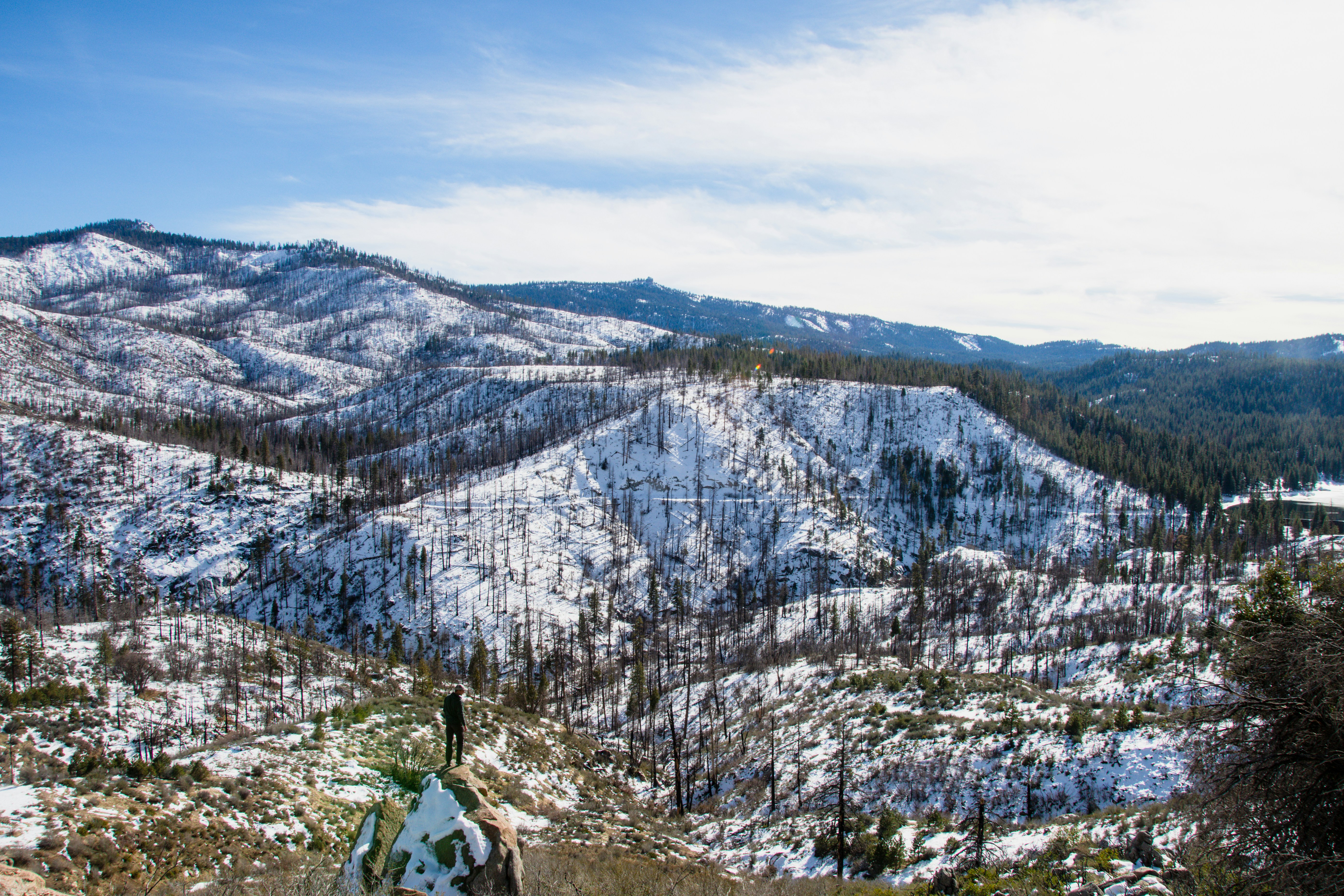 Photo by jackcharles