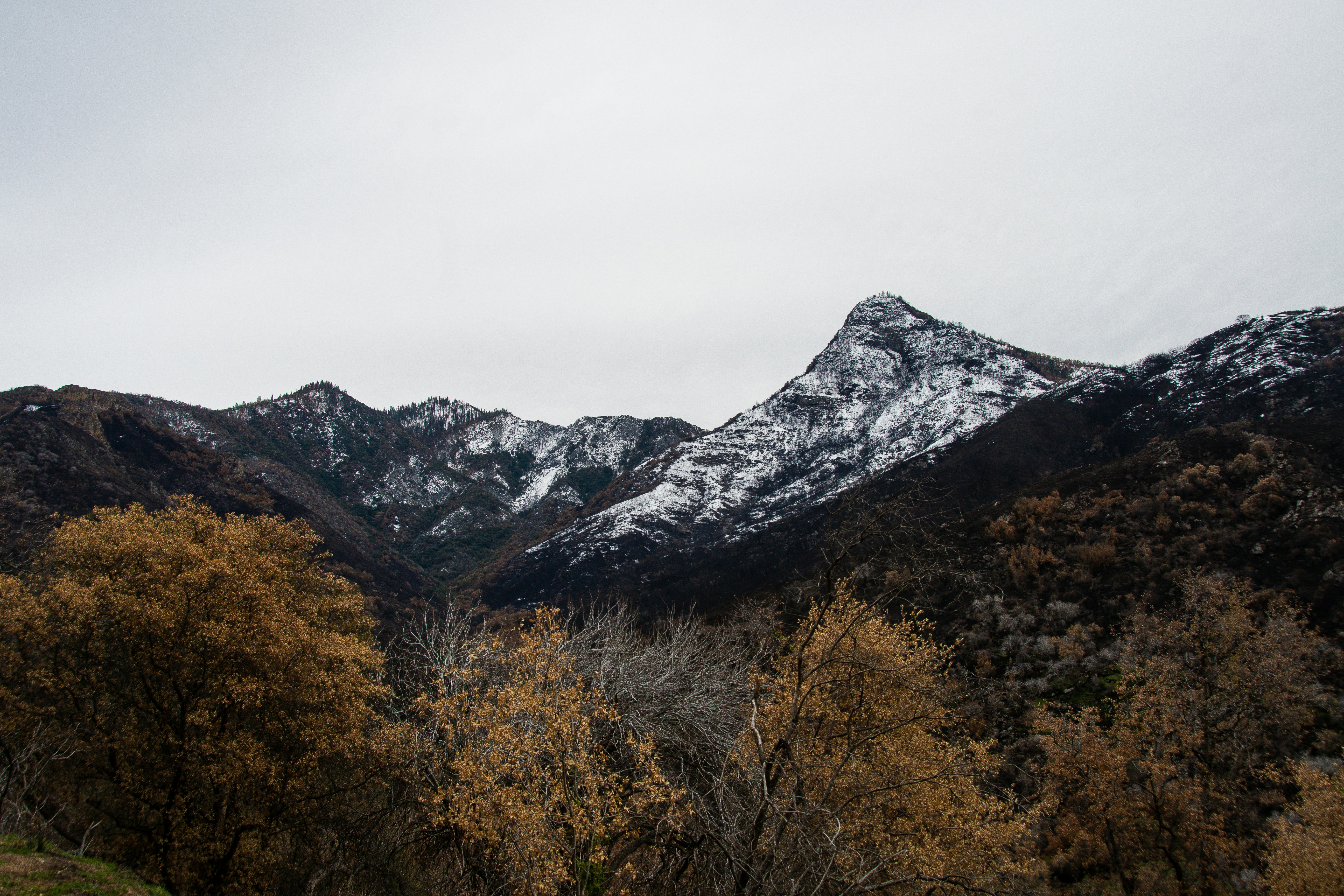 Photo by jackcharles