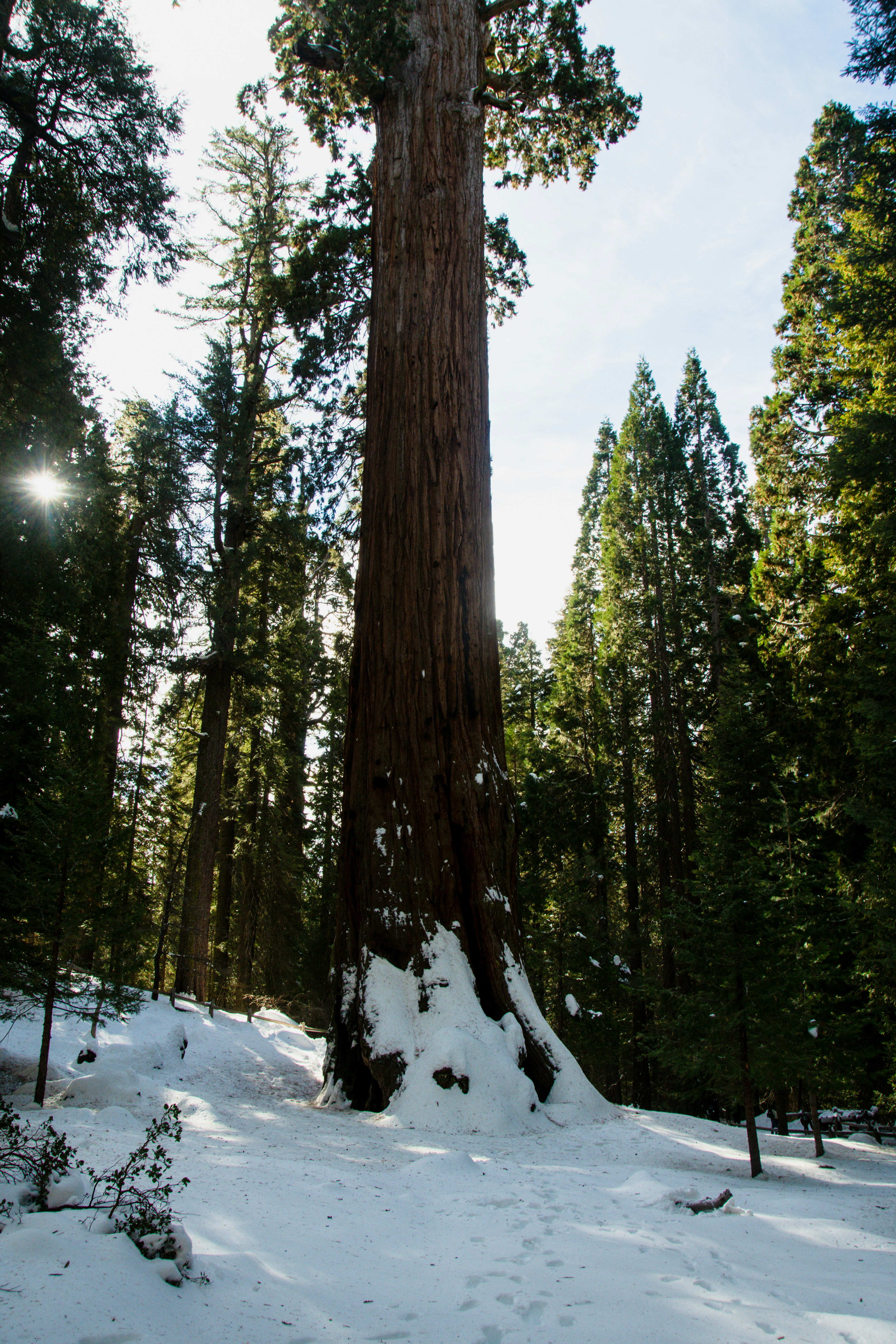 Photo by jackcharles