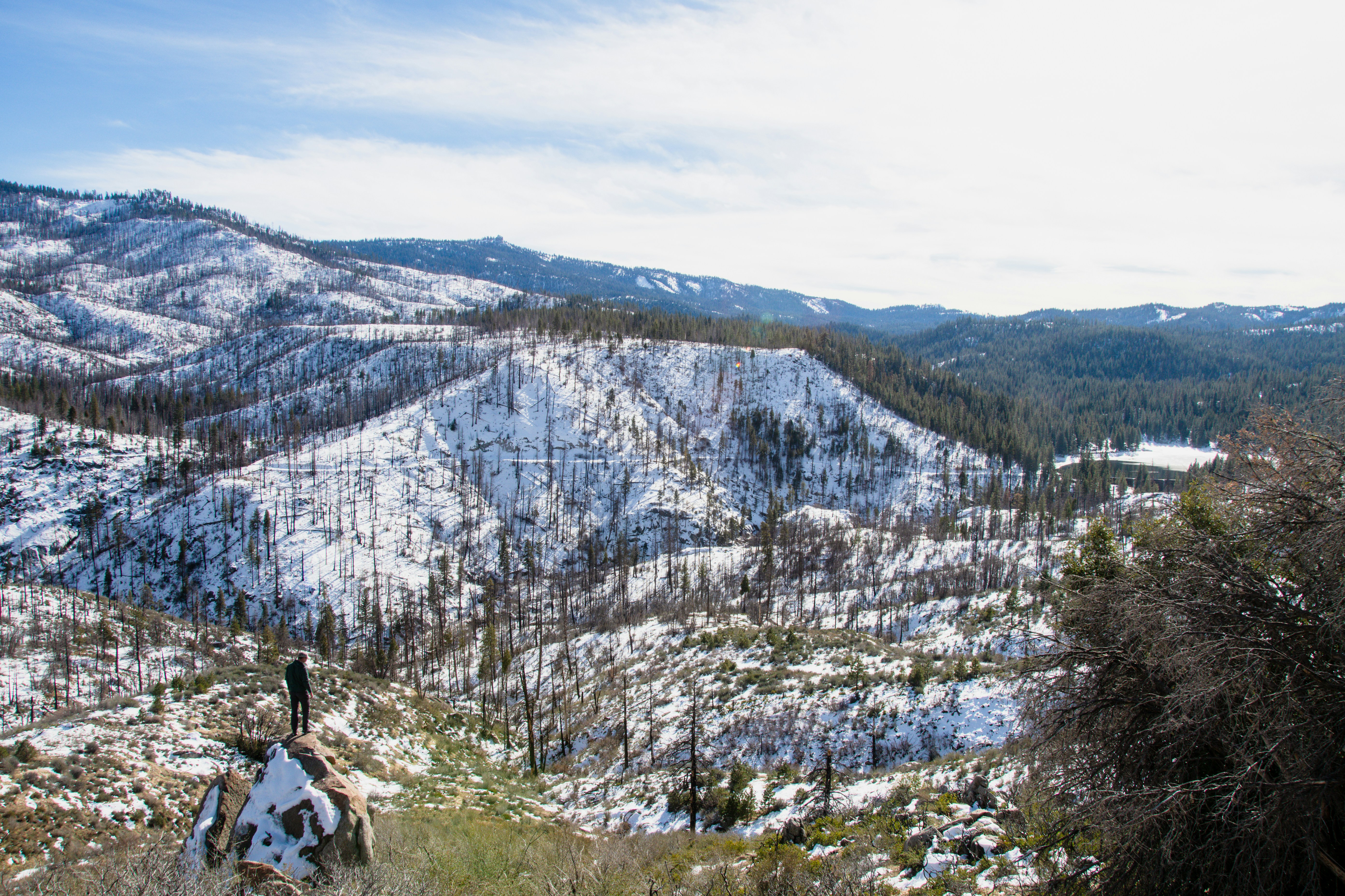 Photo by jackcharles