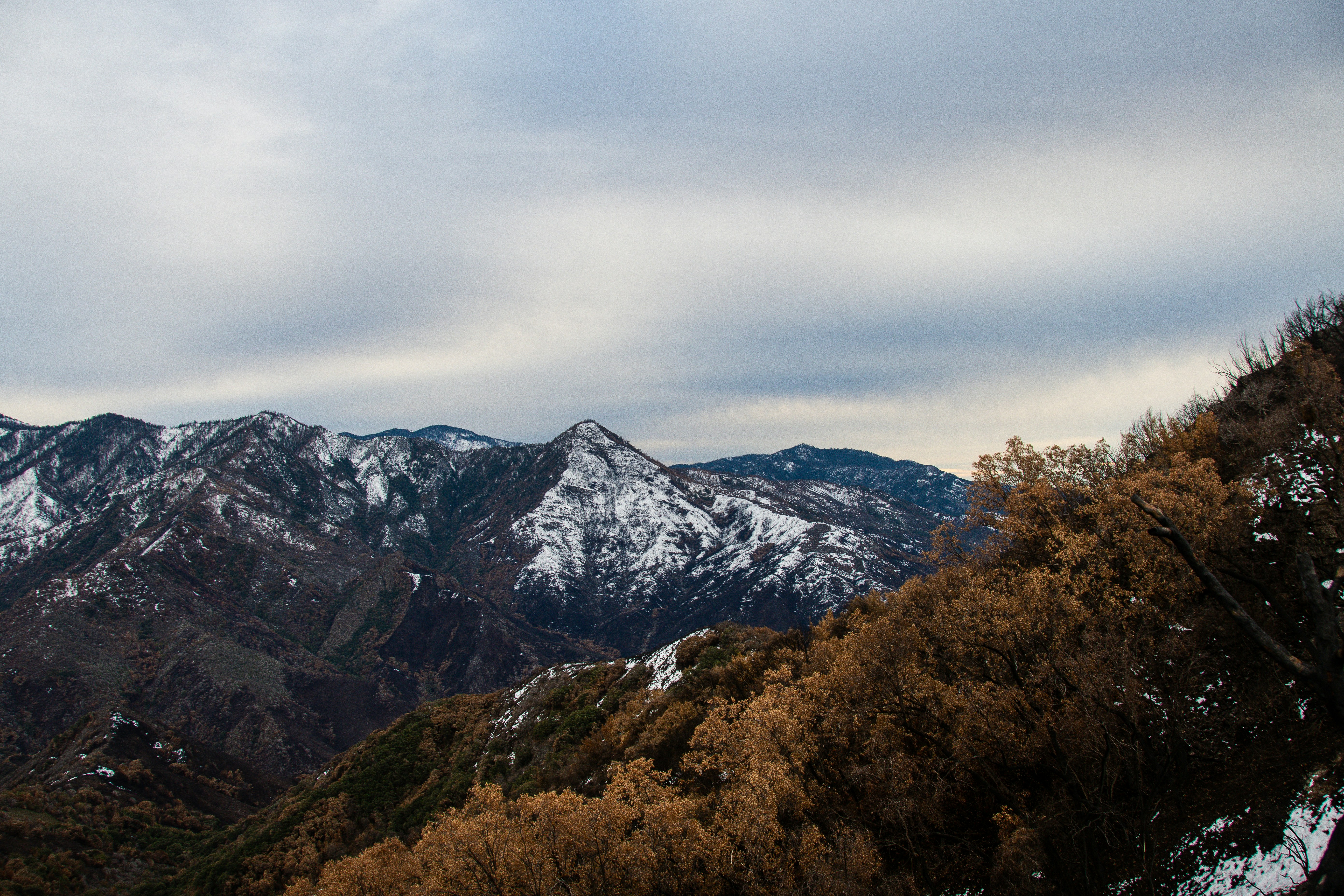 Photo by jackcharles