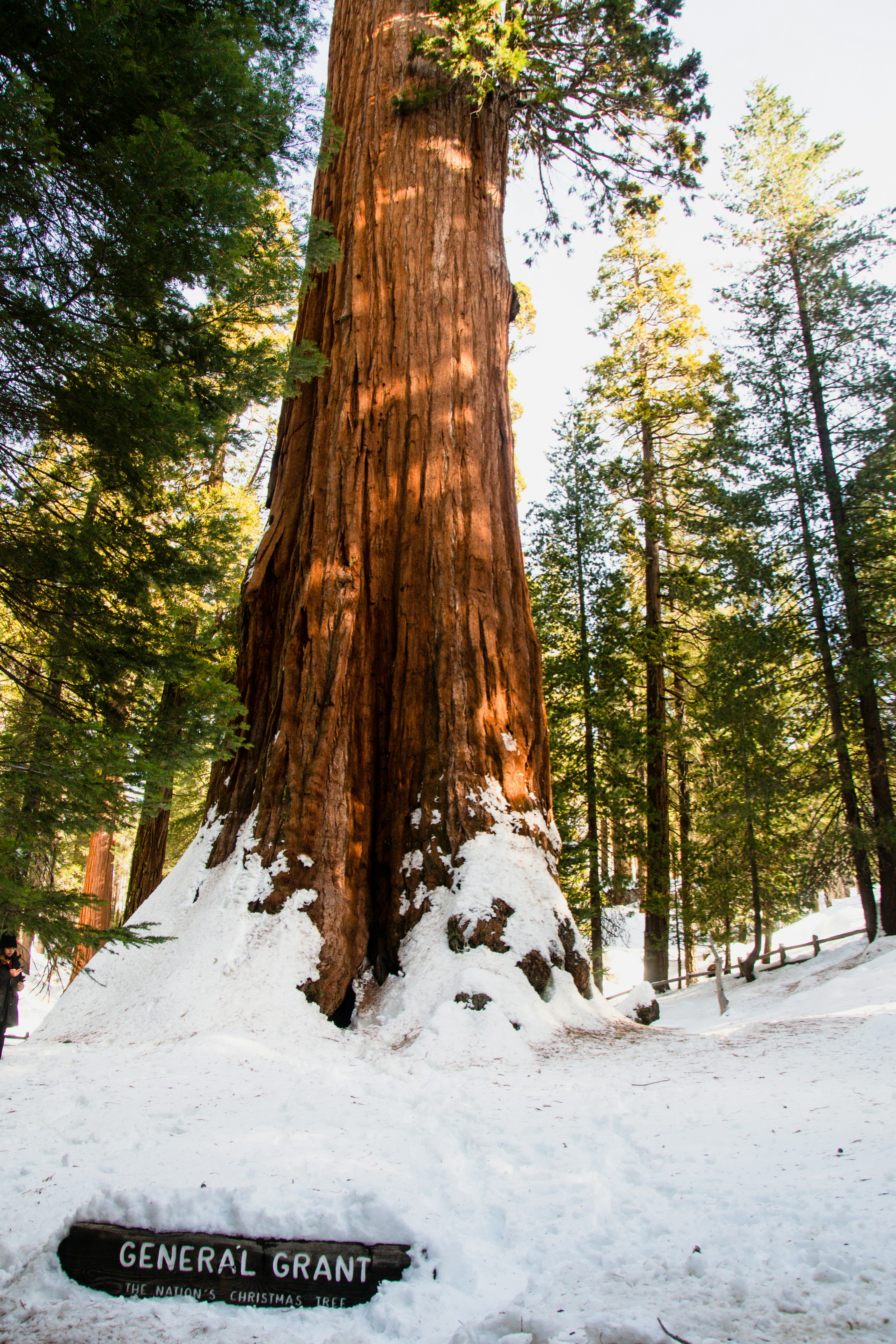 Photo by jackcharles