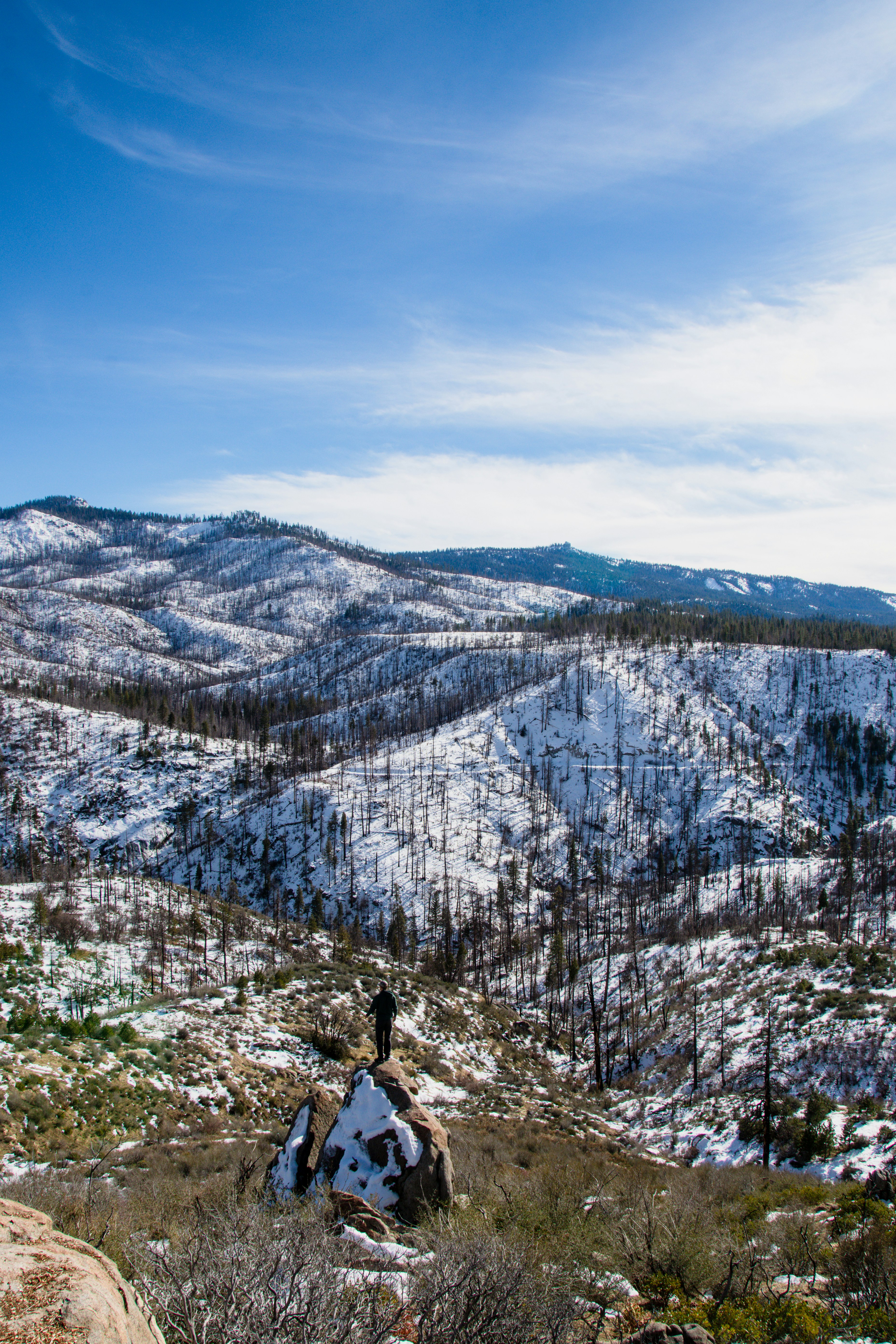 Photo by jackcharles