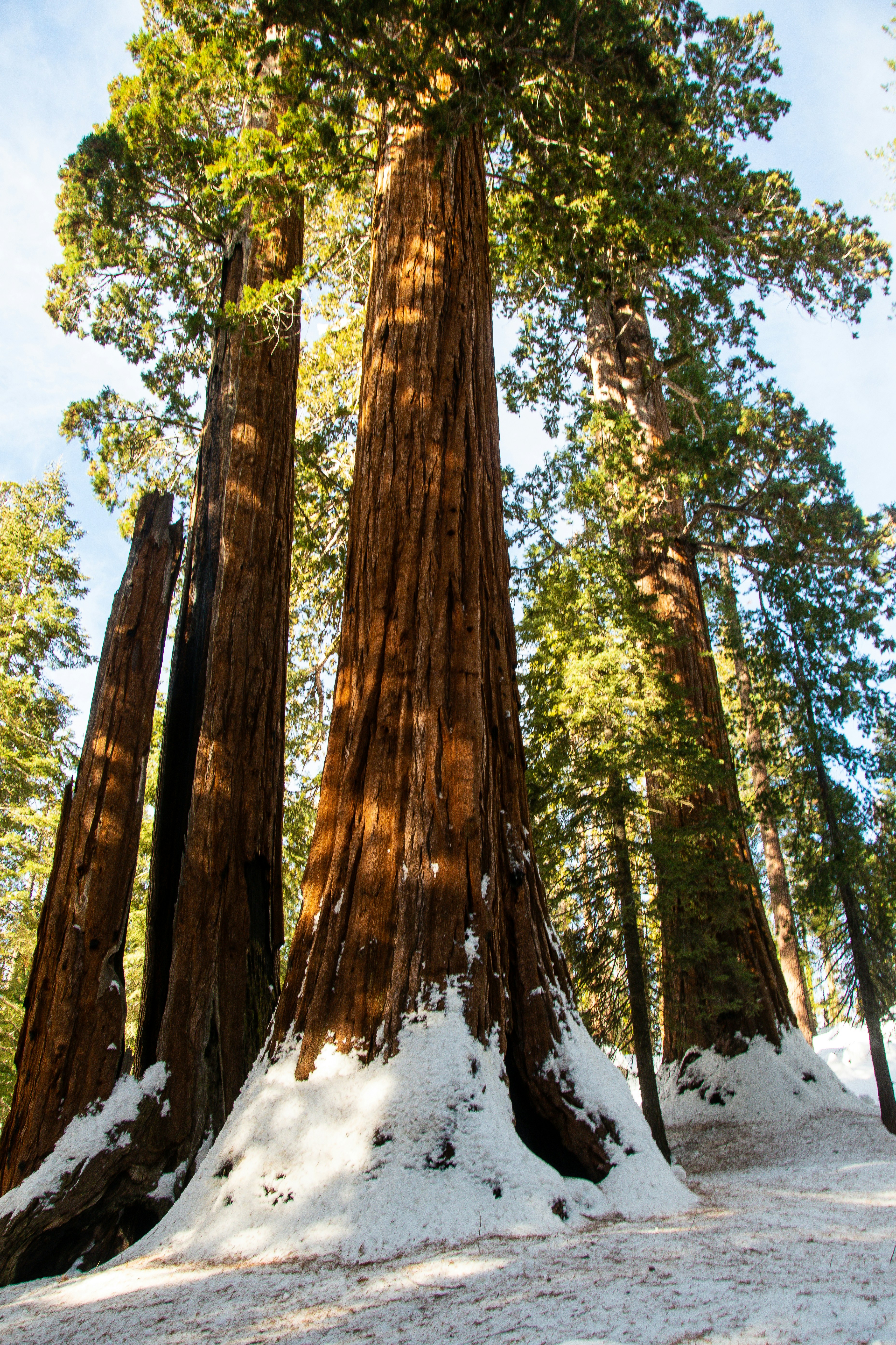 Photo by jackcharles