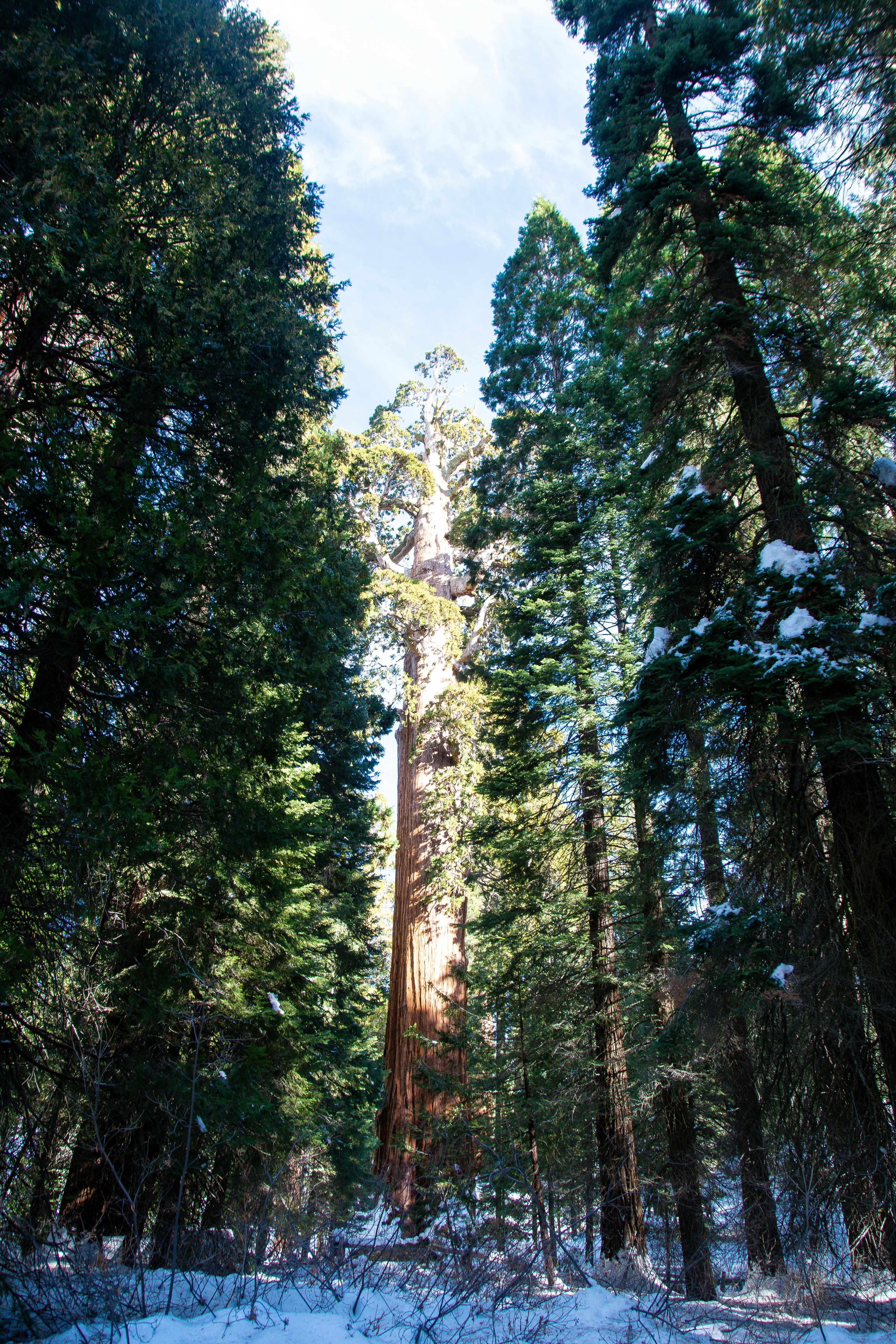 Photo by jackcharles