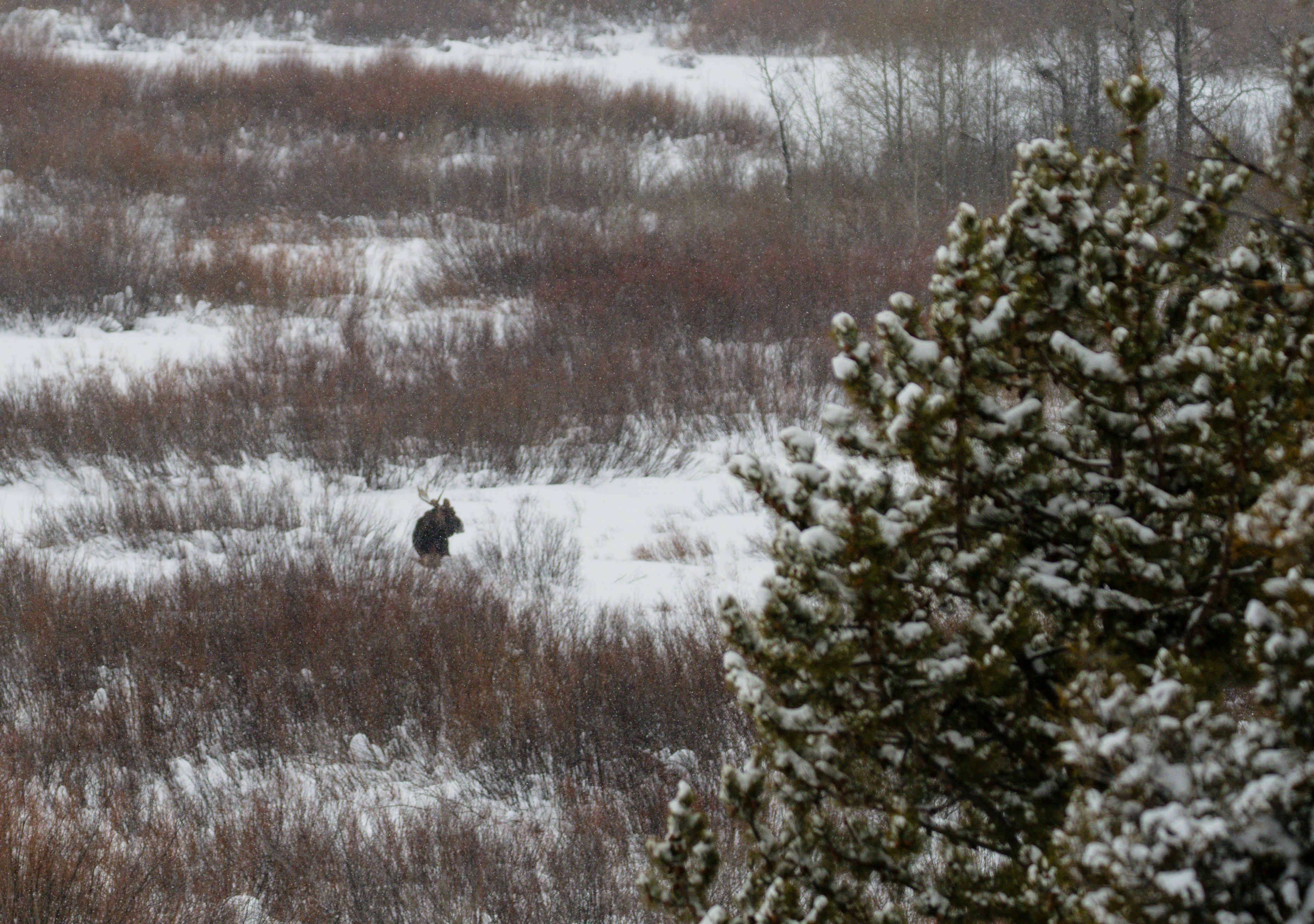 Photo by jackcharles