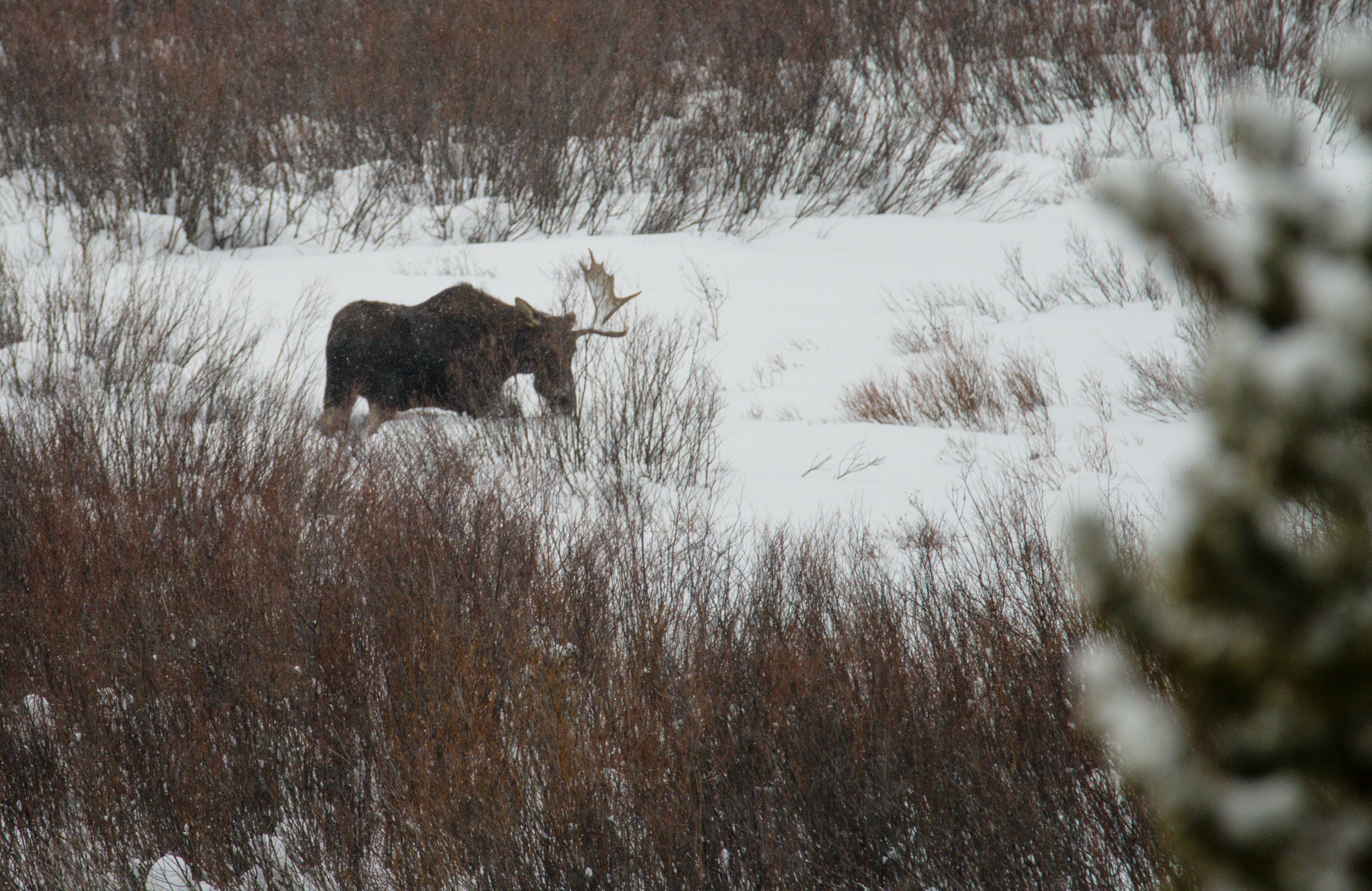 Photo by jackcharles