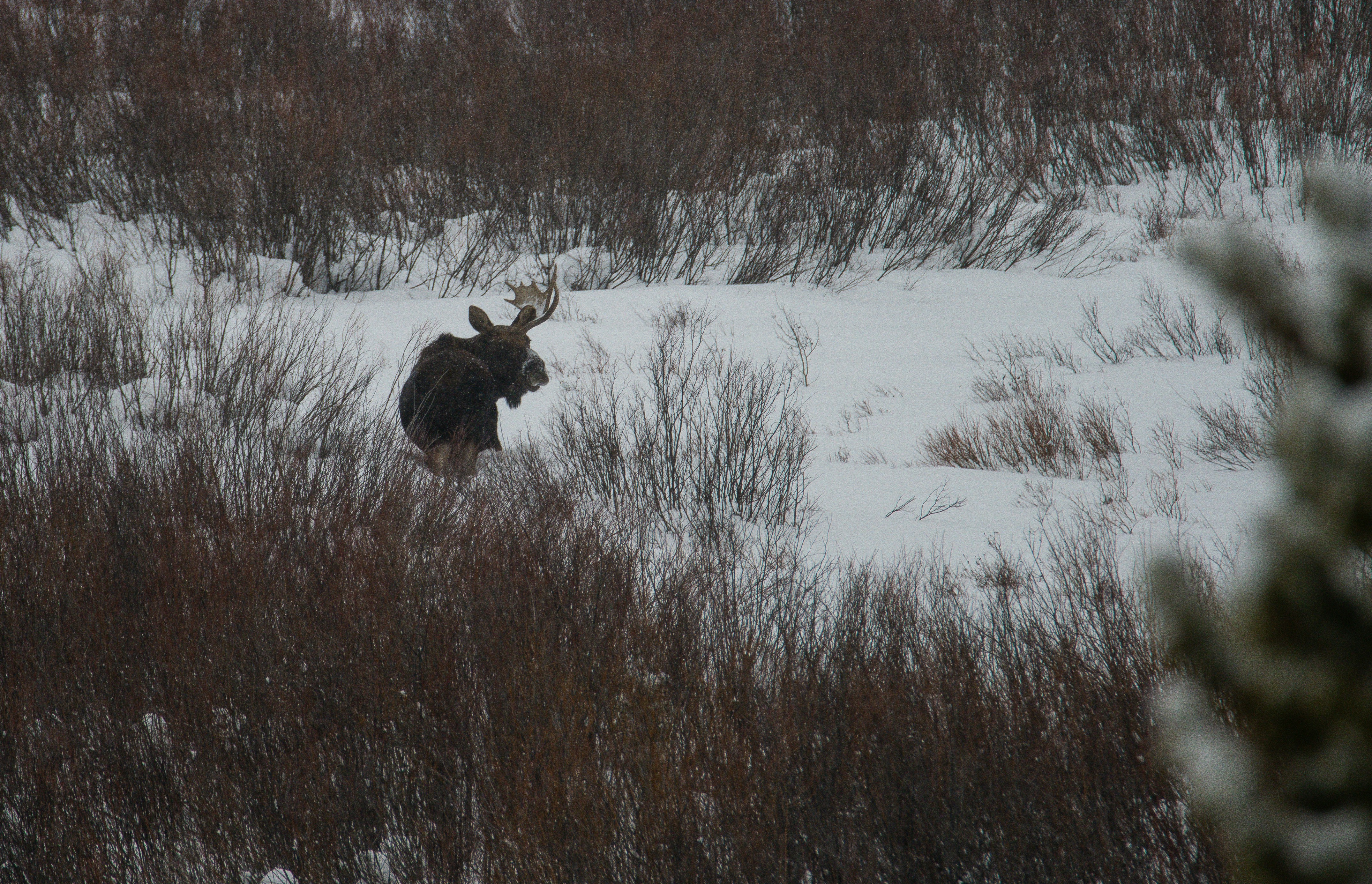 Photo by jackcharles