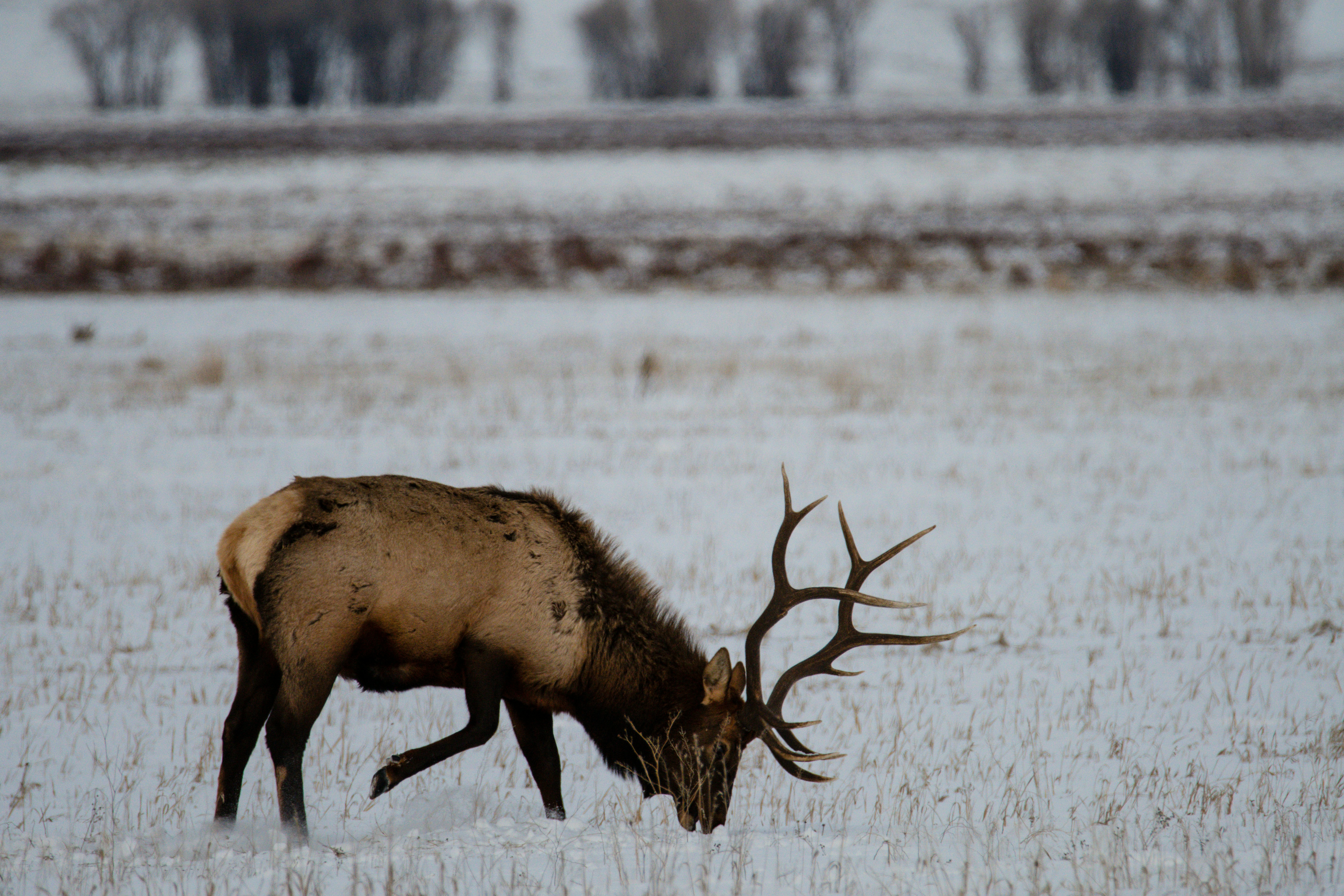 Photo by jackcharles