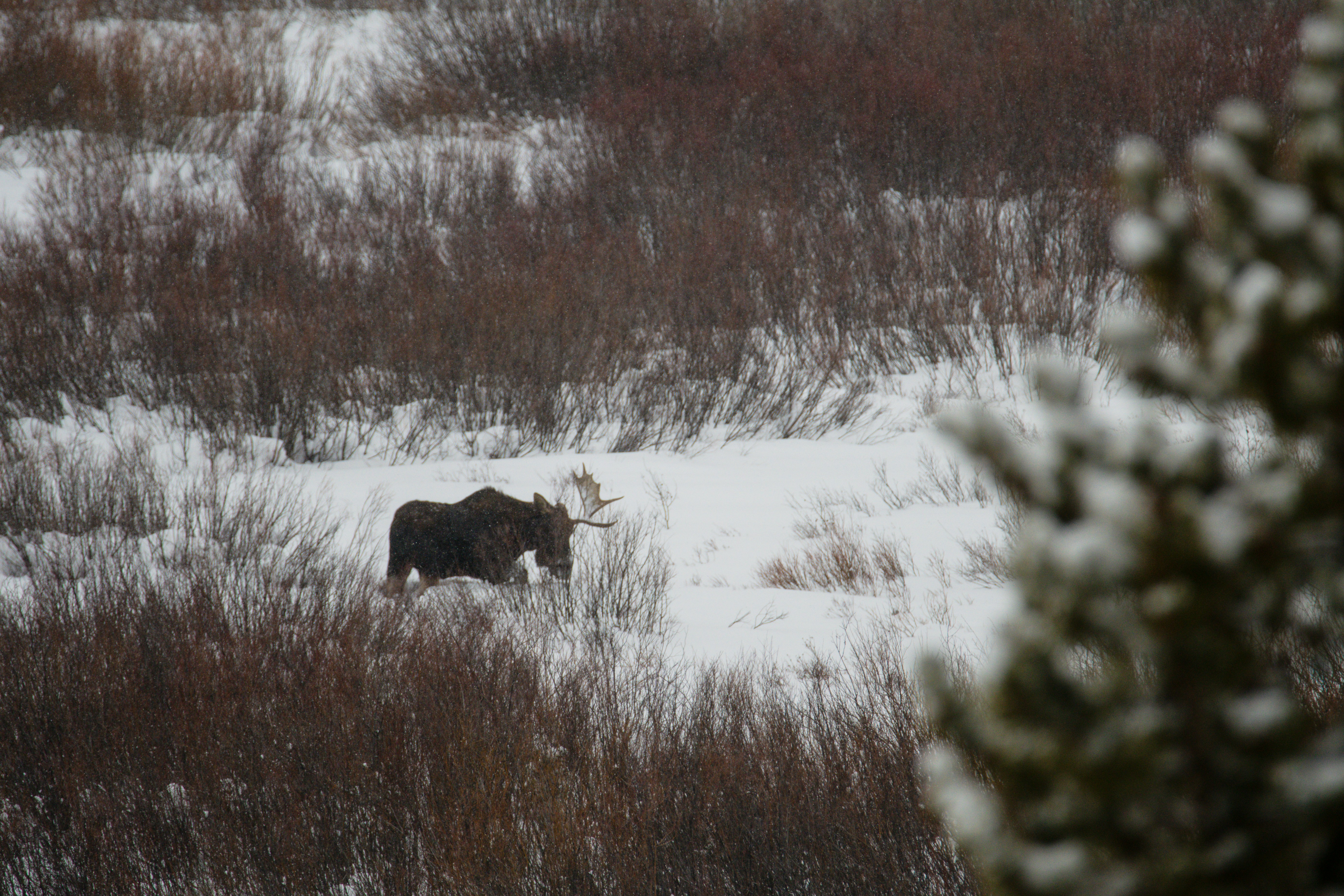 Photo by jackcharles