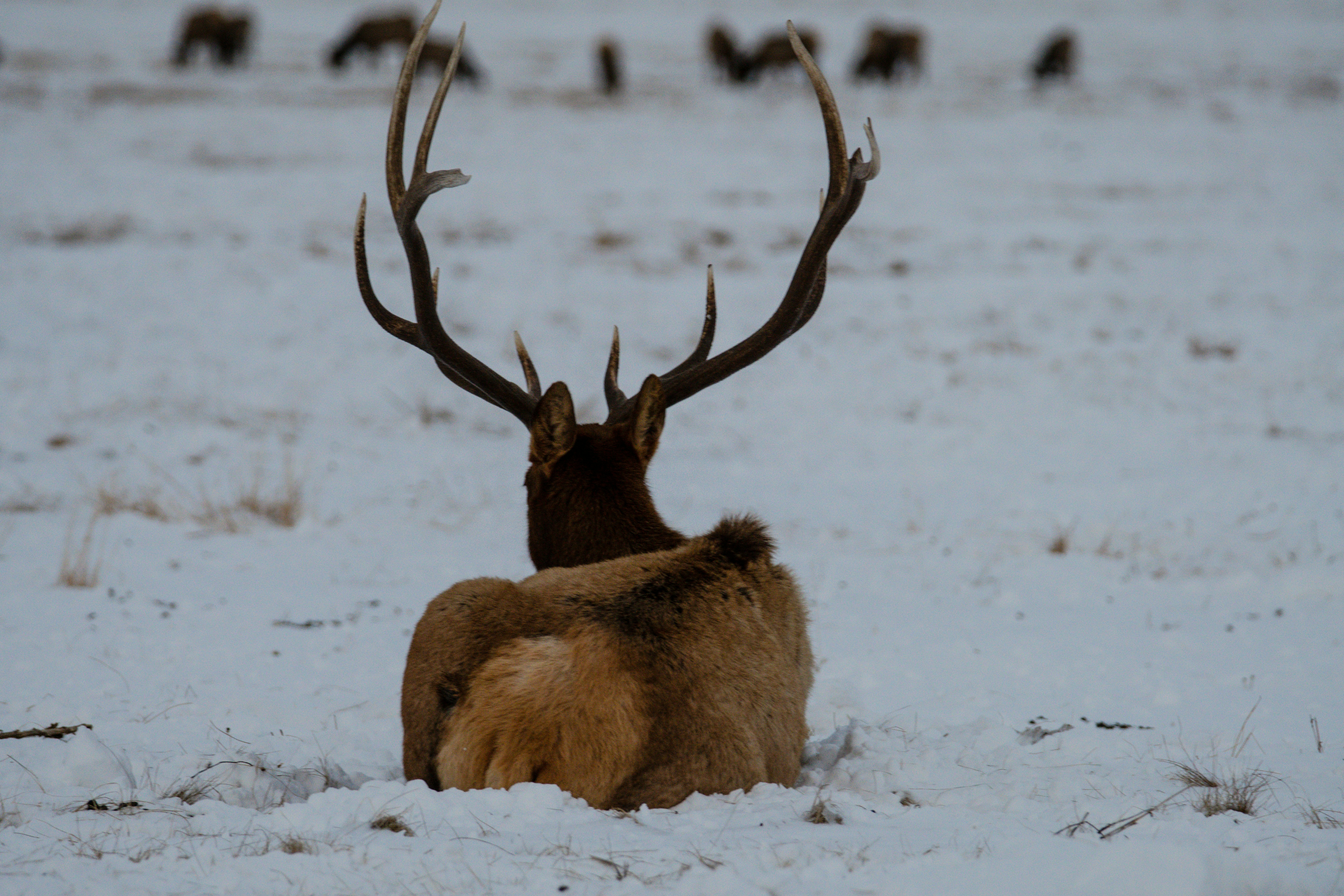 Photo by jackcharles