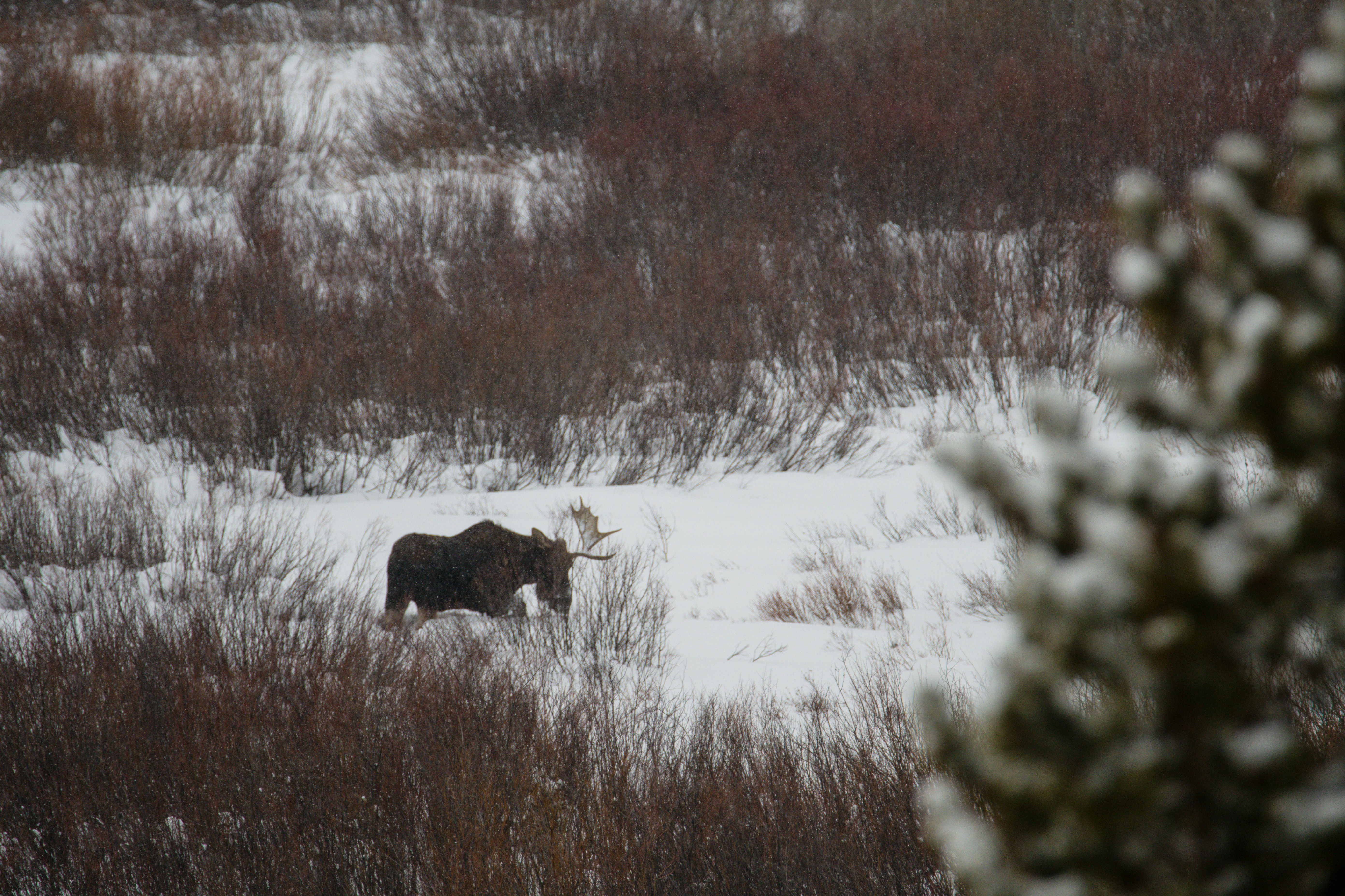 Photo by jackcharles