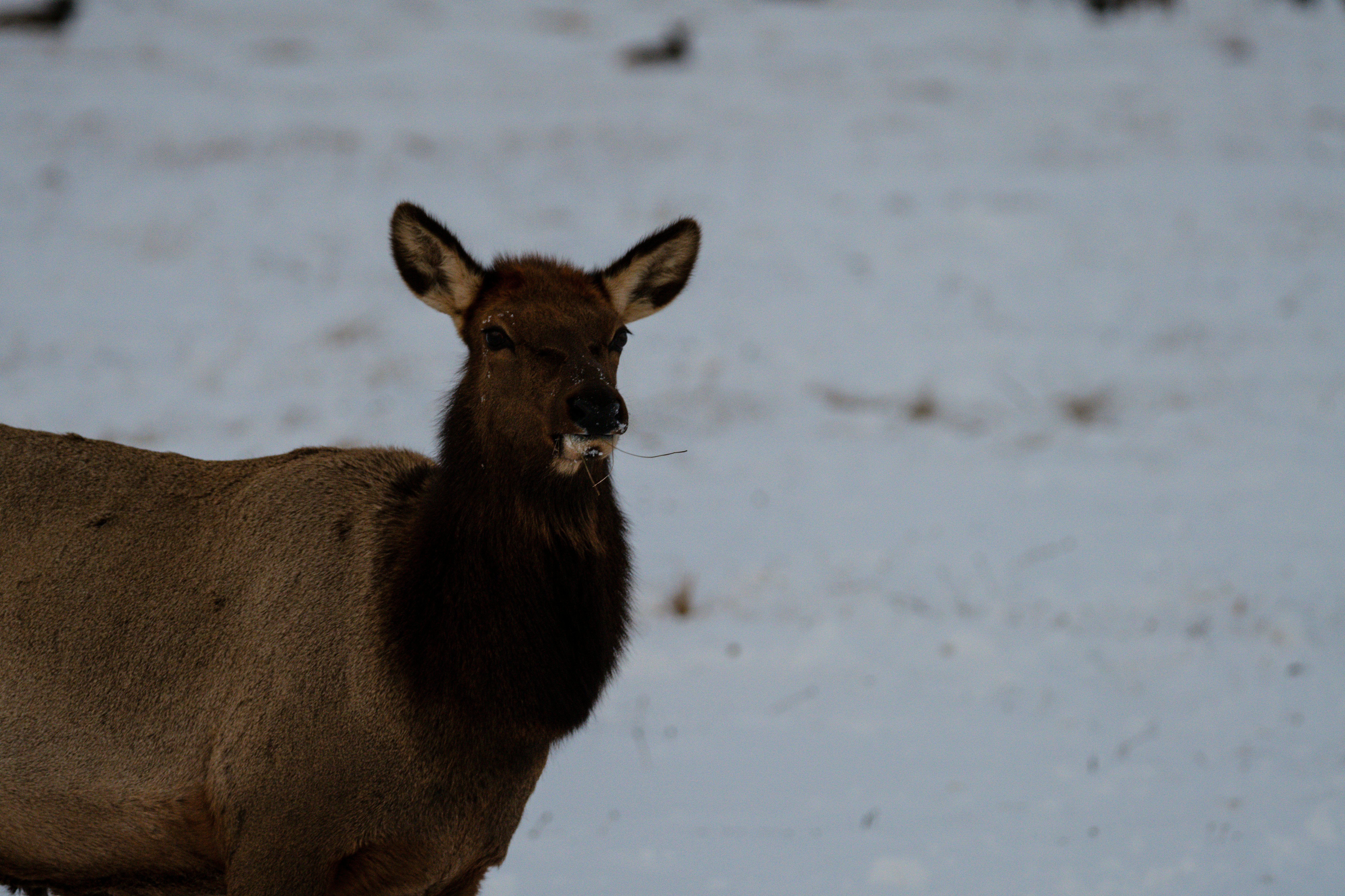 Photo by jackcharles