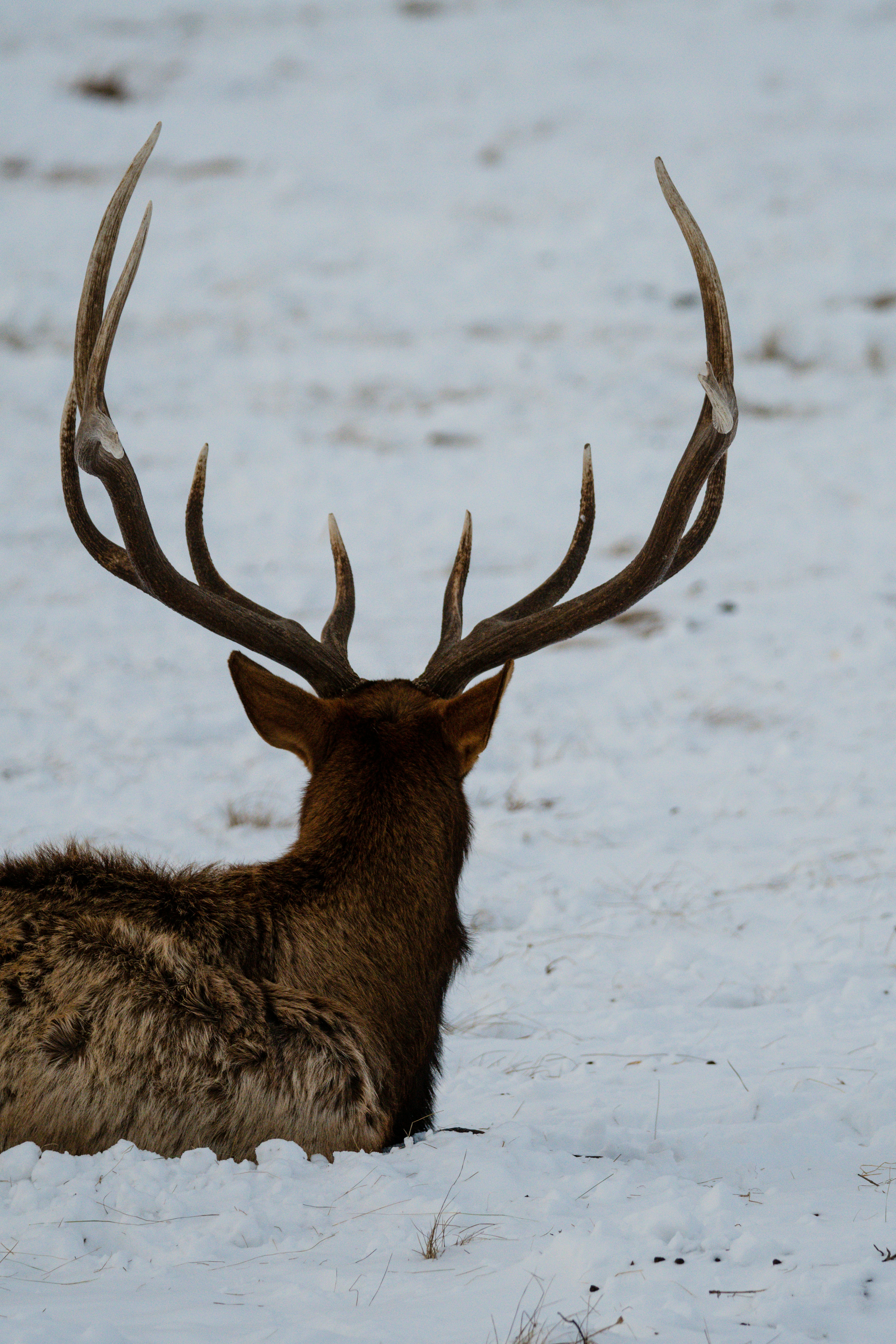 Photo by jackcharles