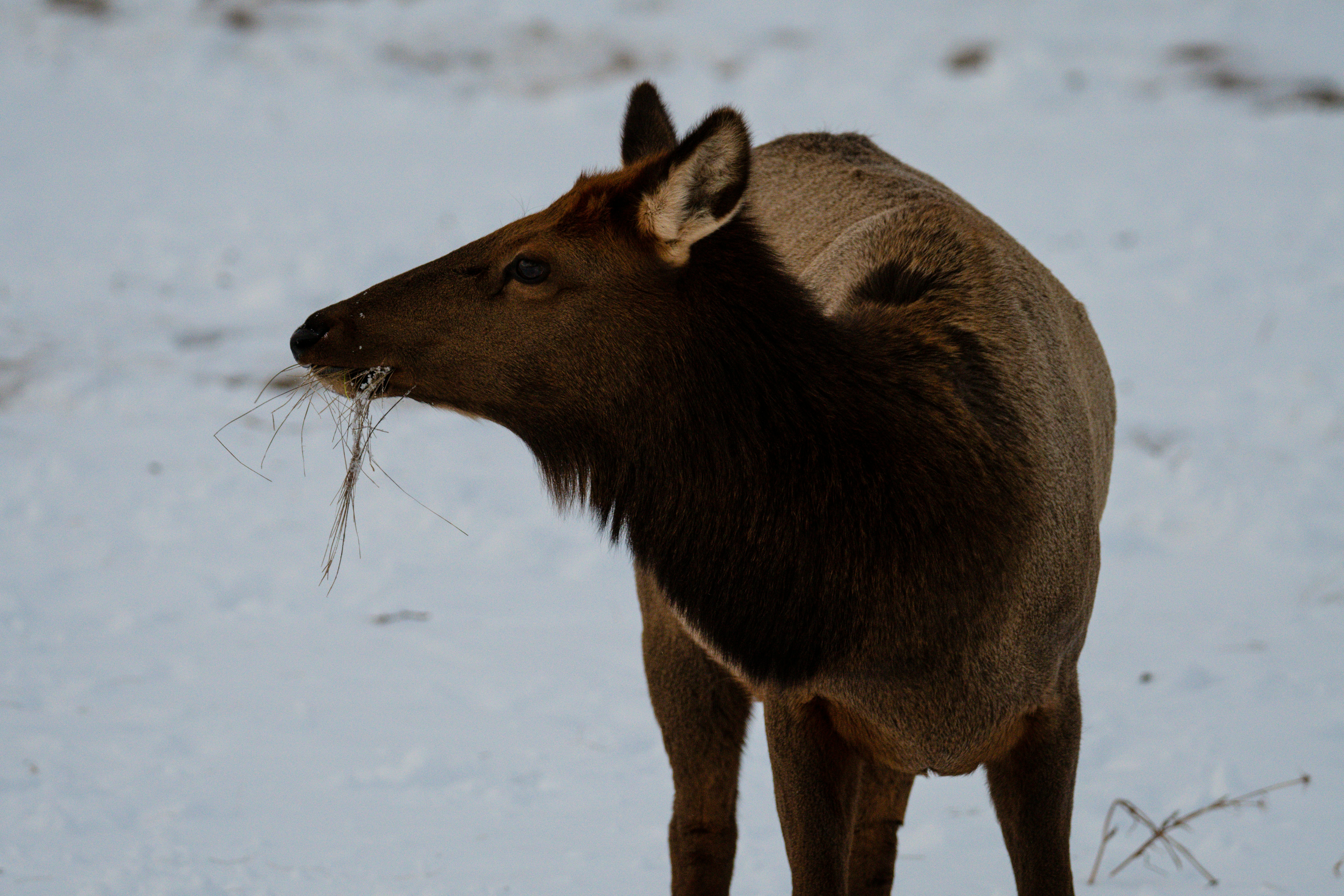 Photo by jackcharles