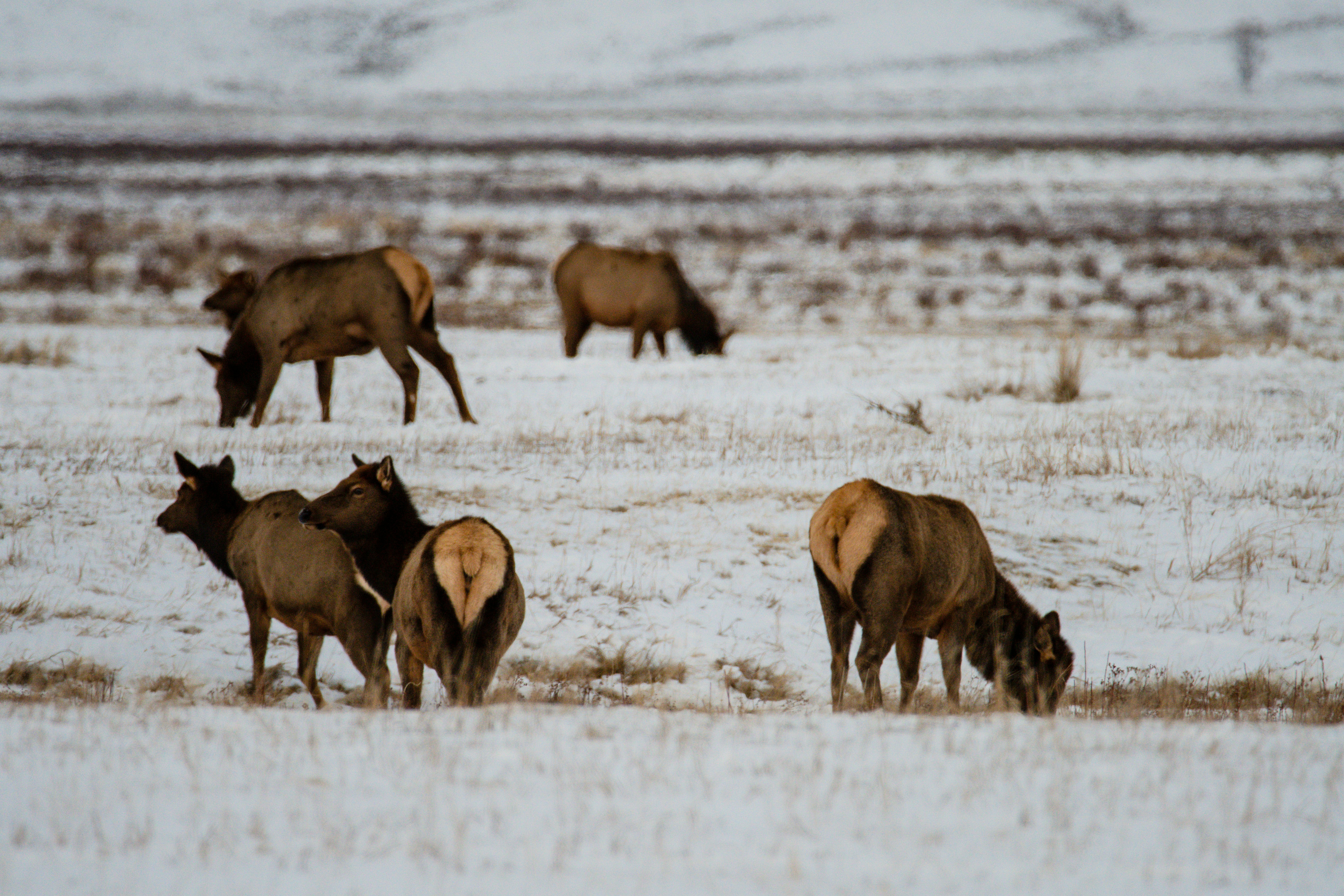 Photo by jackcharles