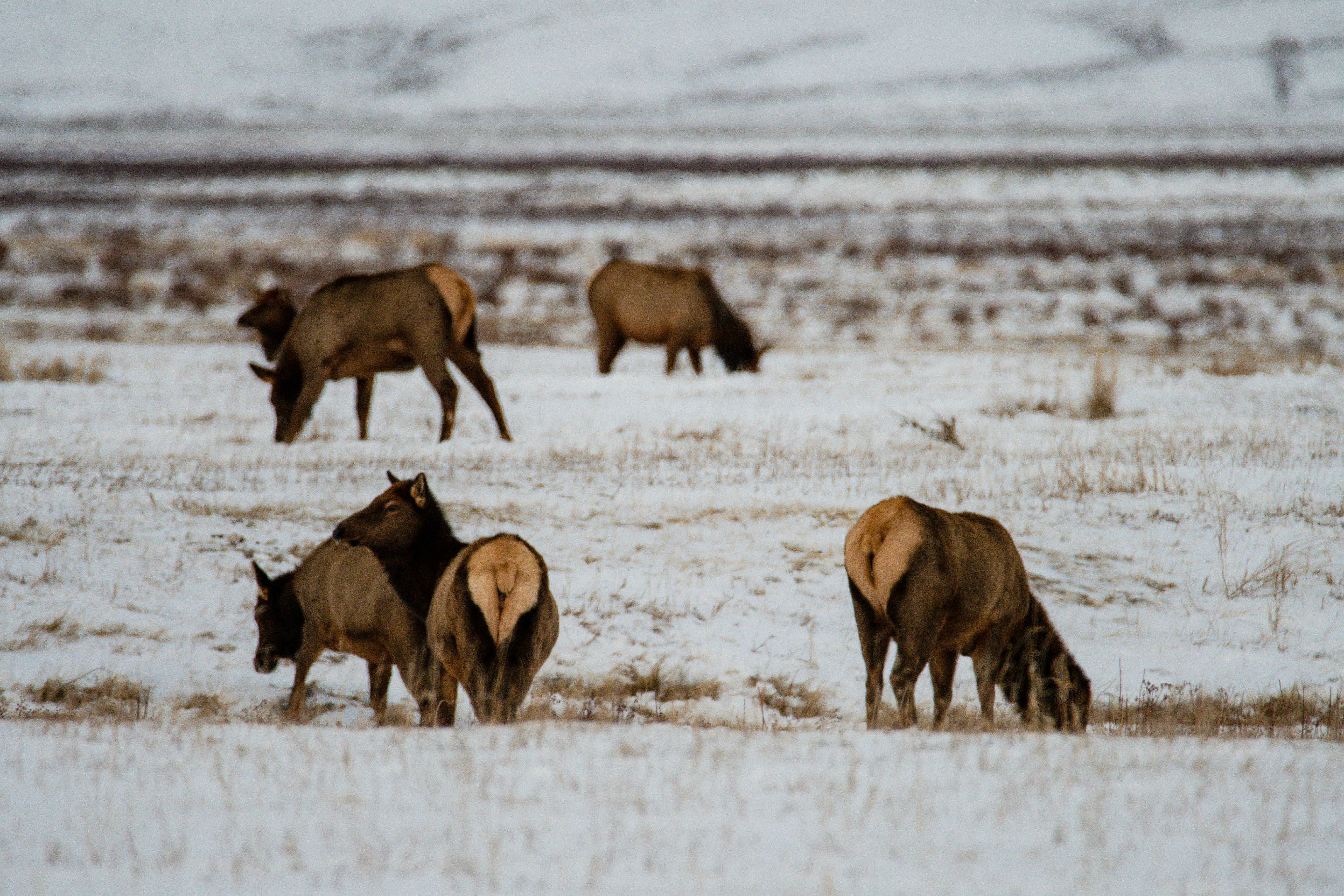 Photo by jackcharles