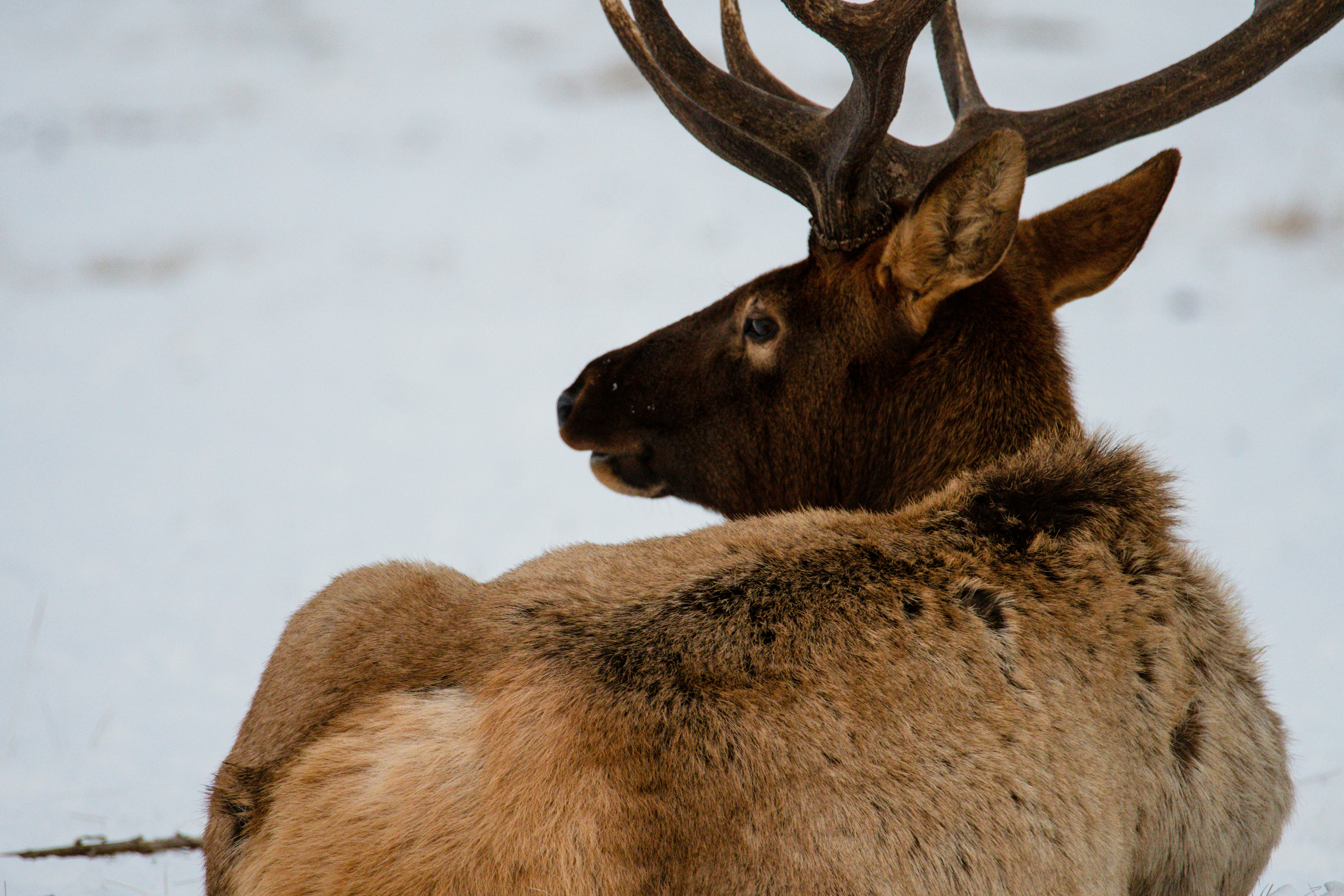 Photo by jackcharles