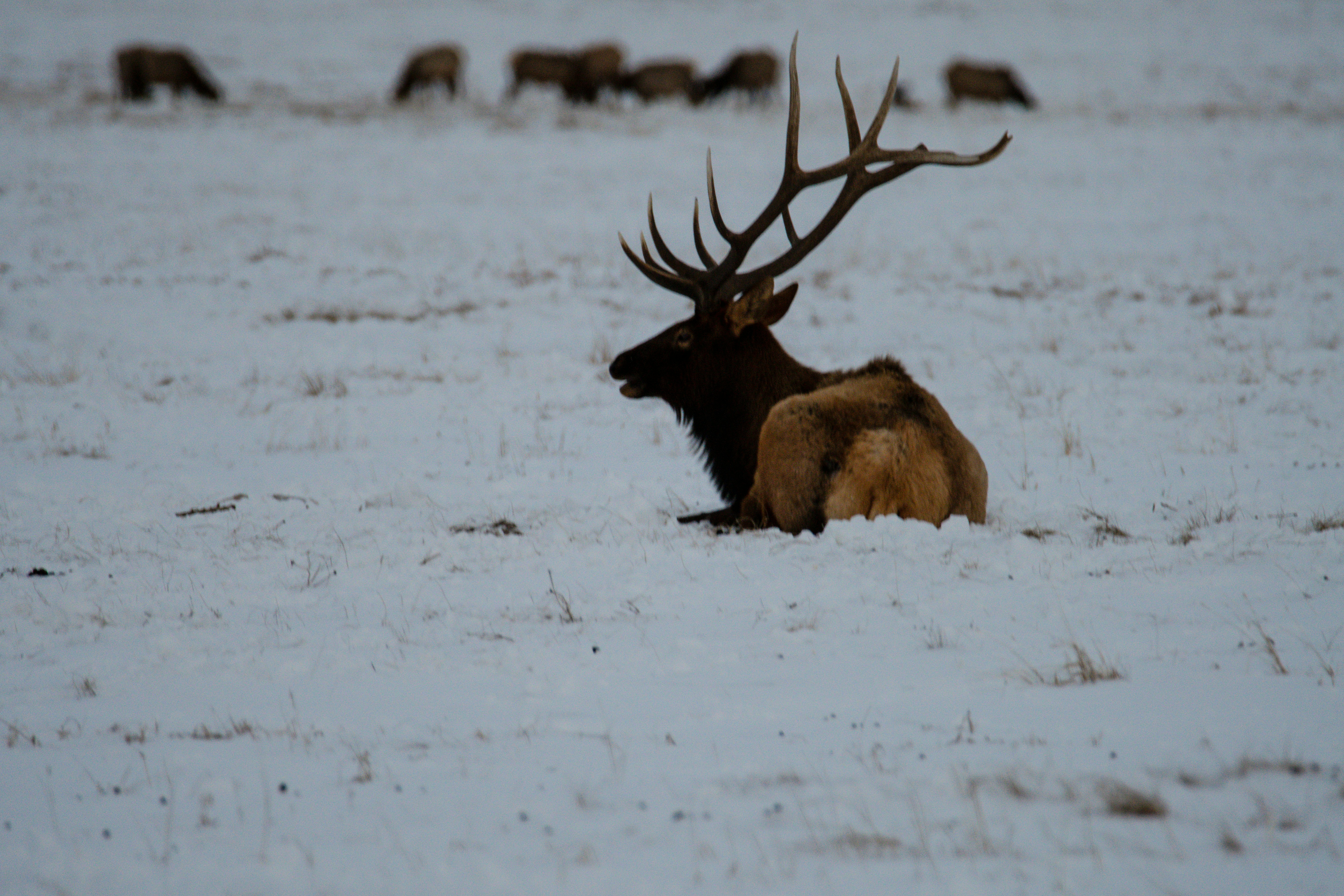 Photo by jackcharles