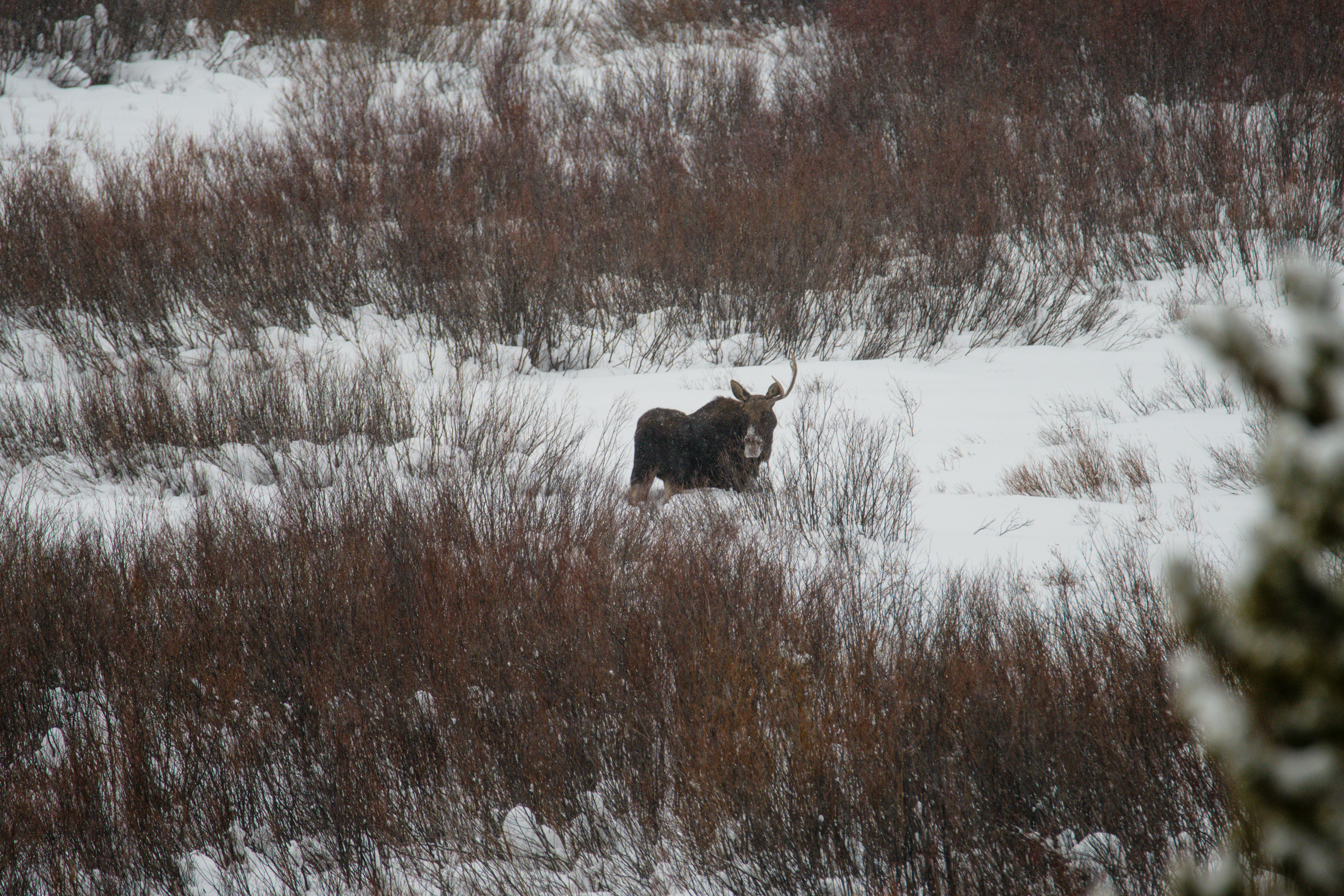 Photo by jackcharles