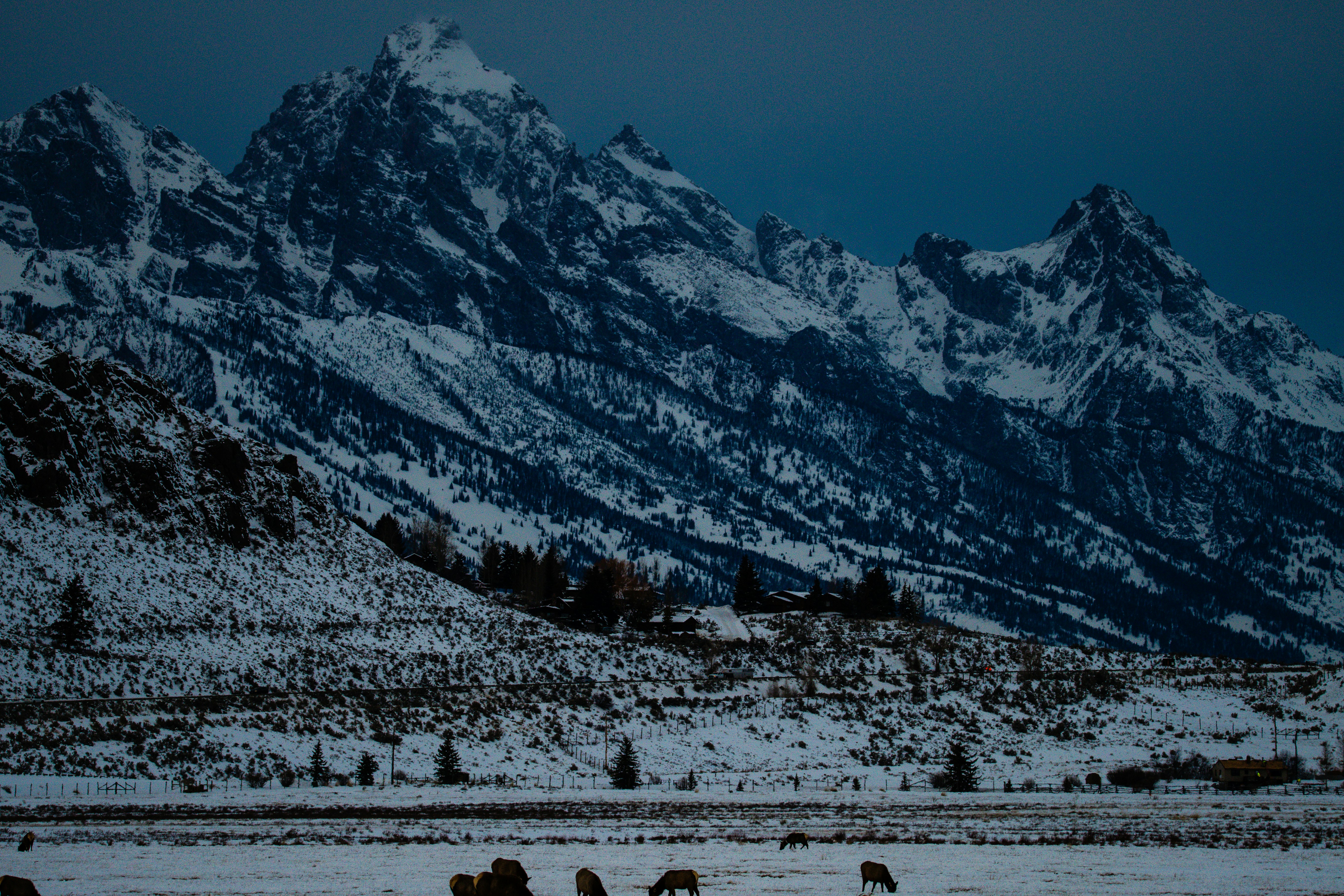 Photo by jackcharles