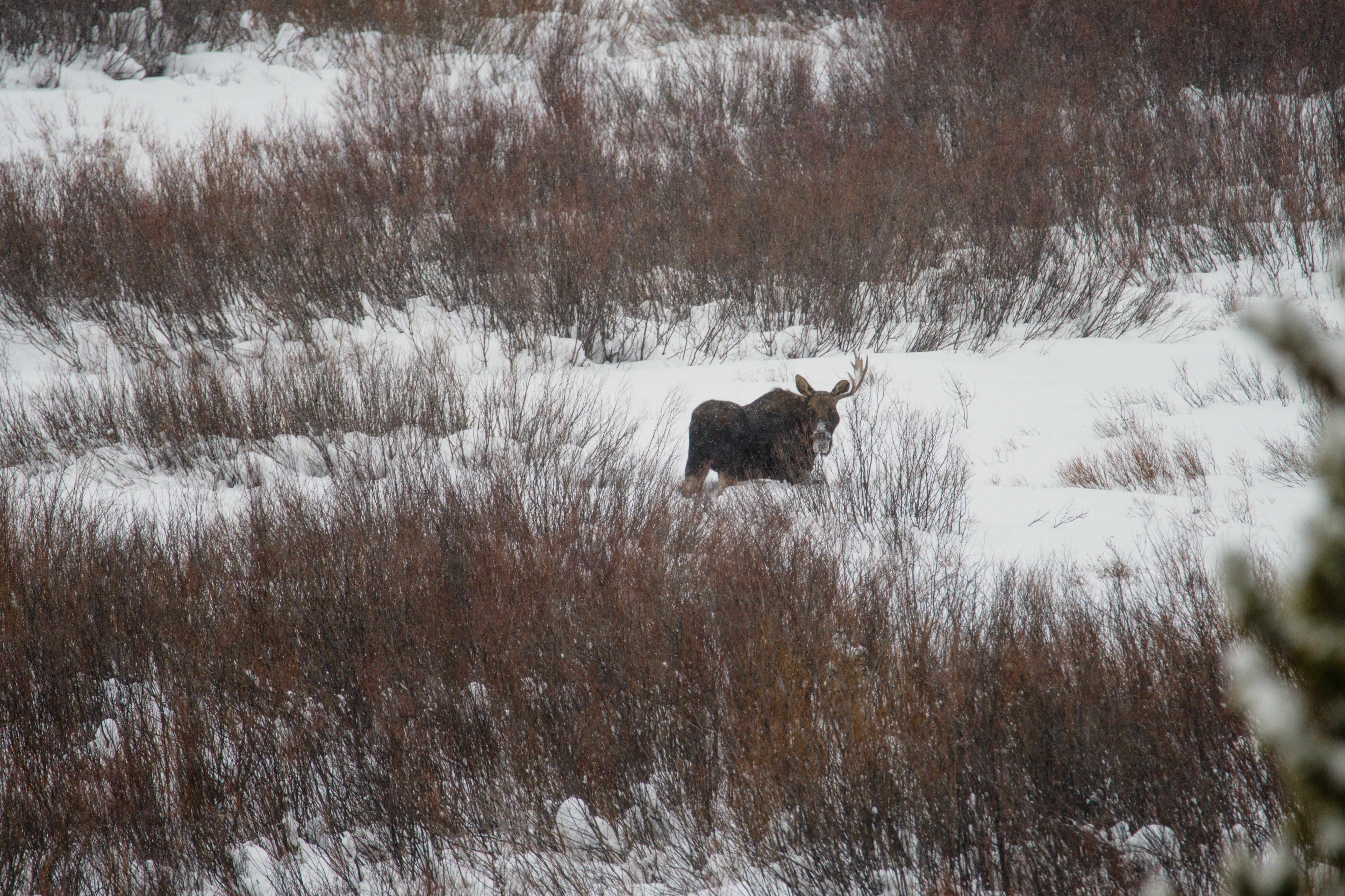 Photo by jackcharles
