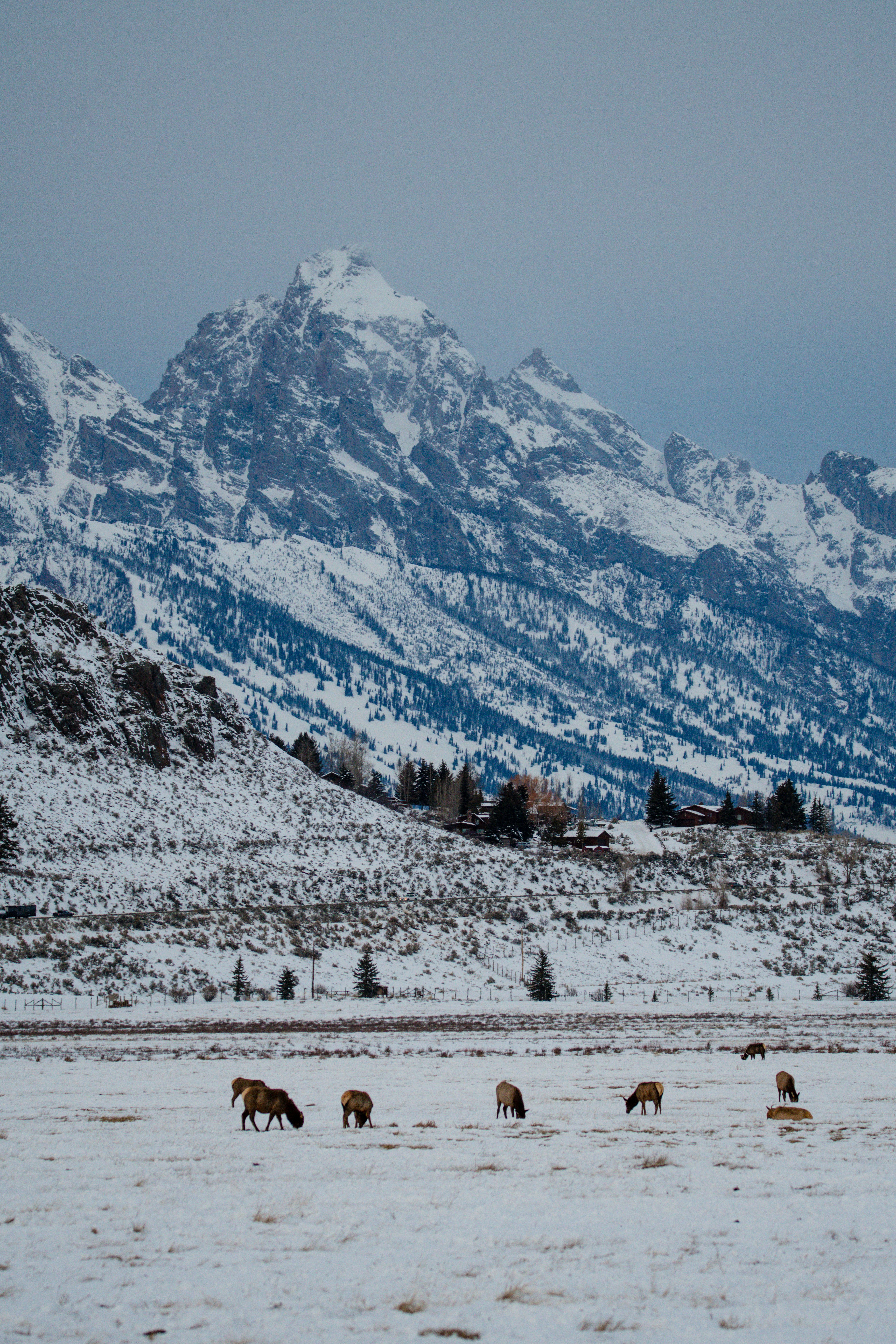 Photo by jackcharles