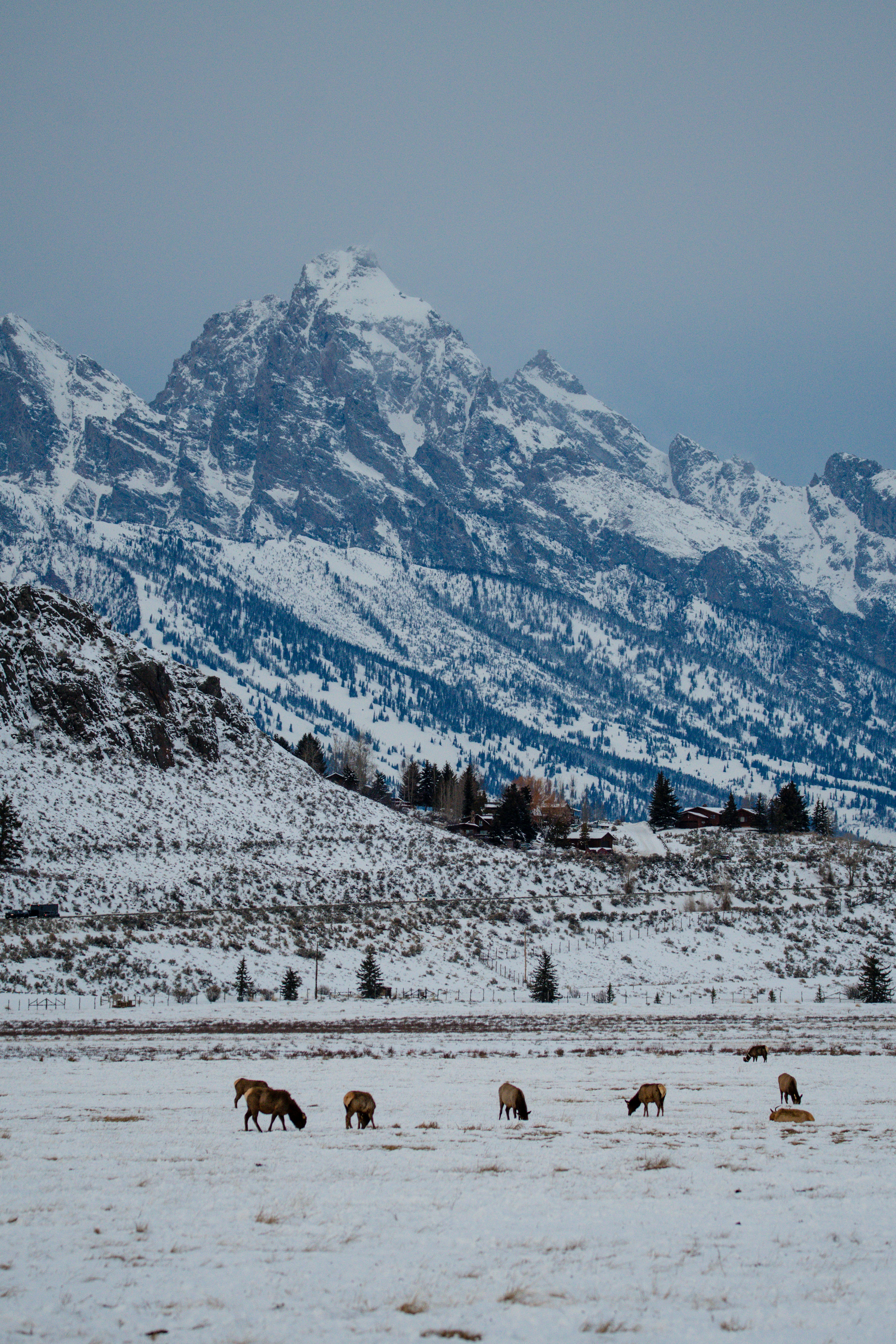 Photo by jackcharles