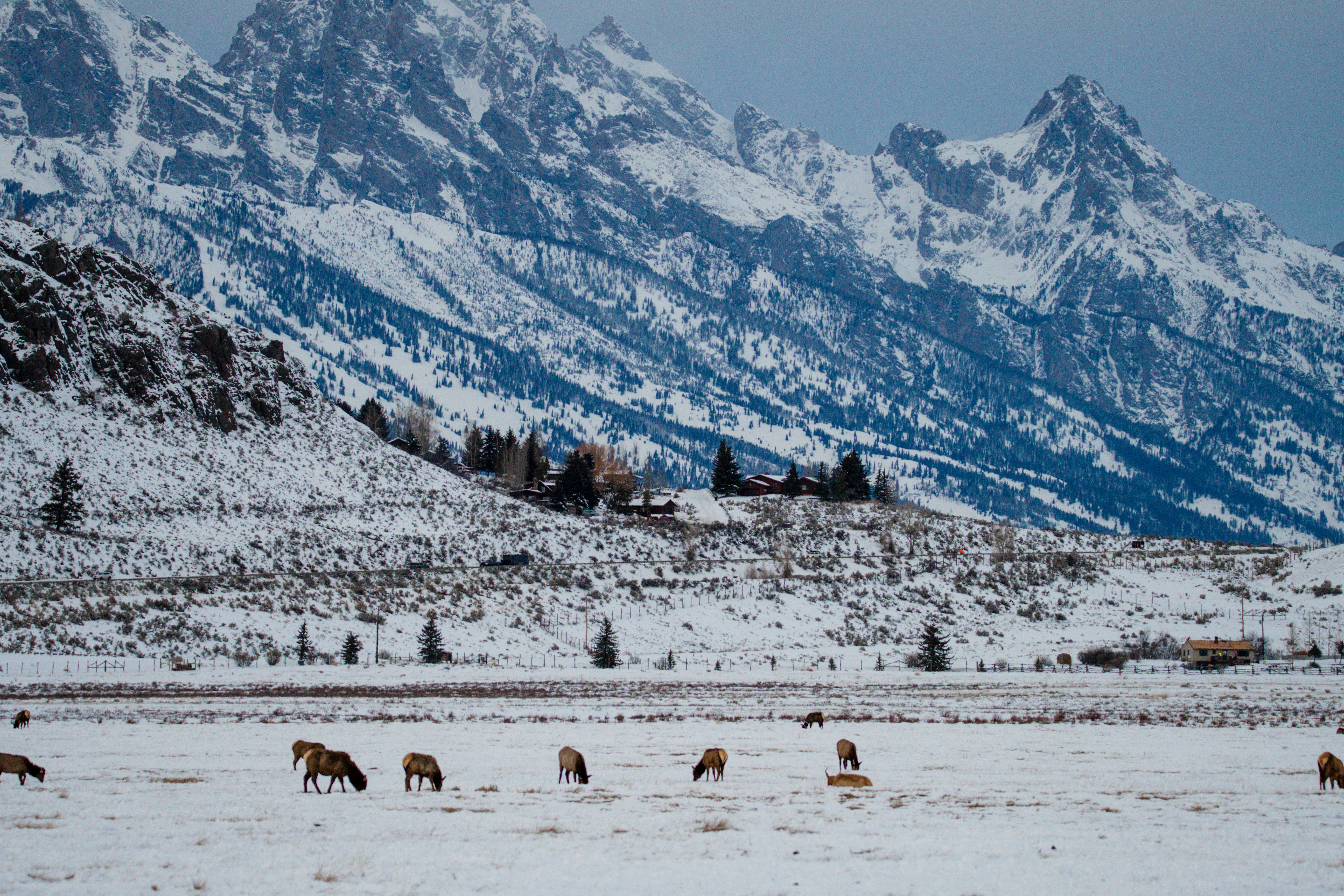 Photo by jackcharles