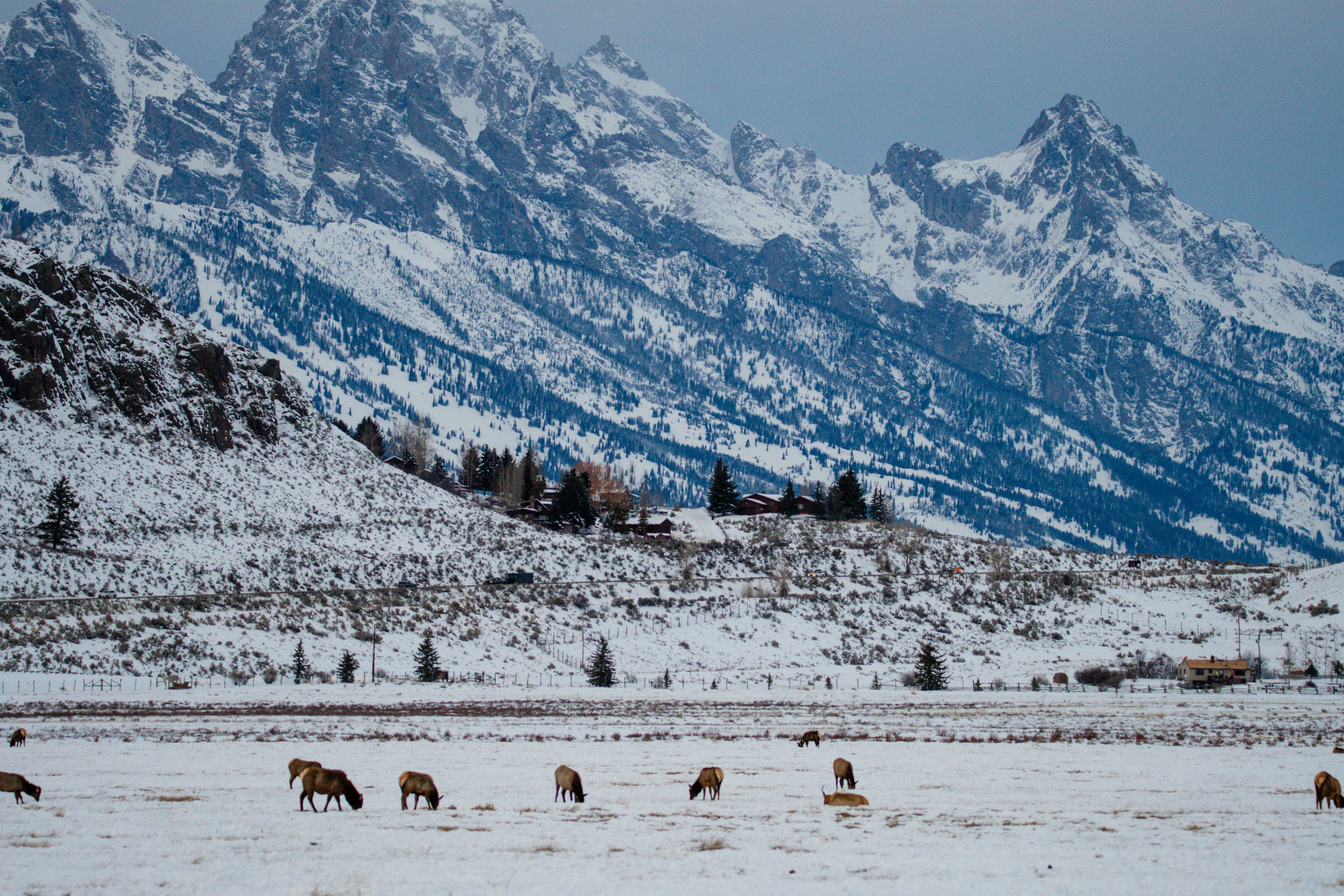 Photo by jackcharles