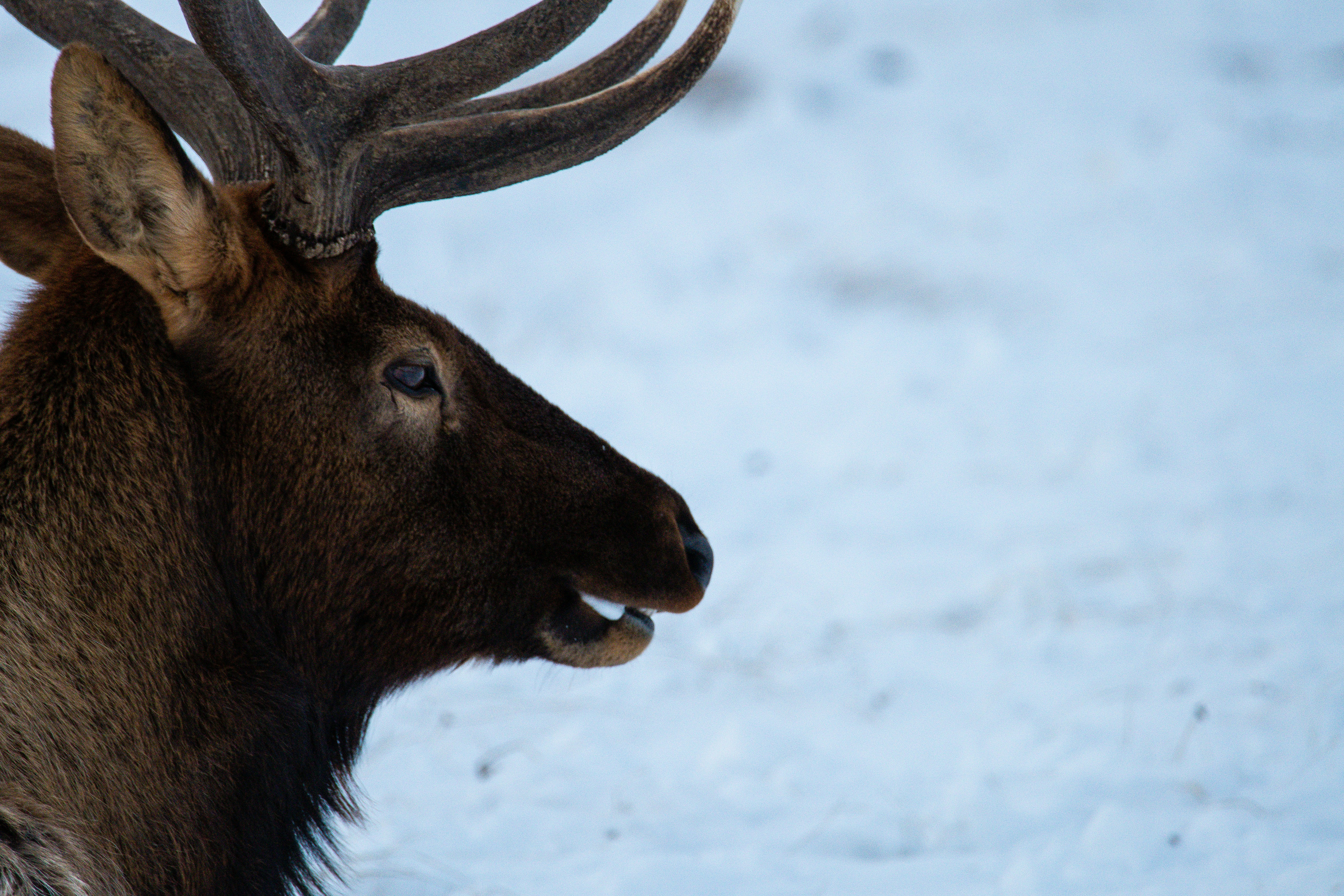 Photo by jackcharles