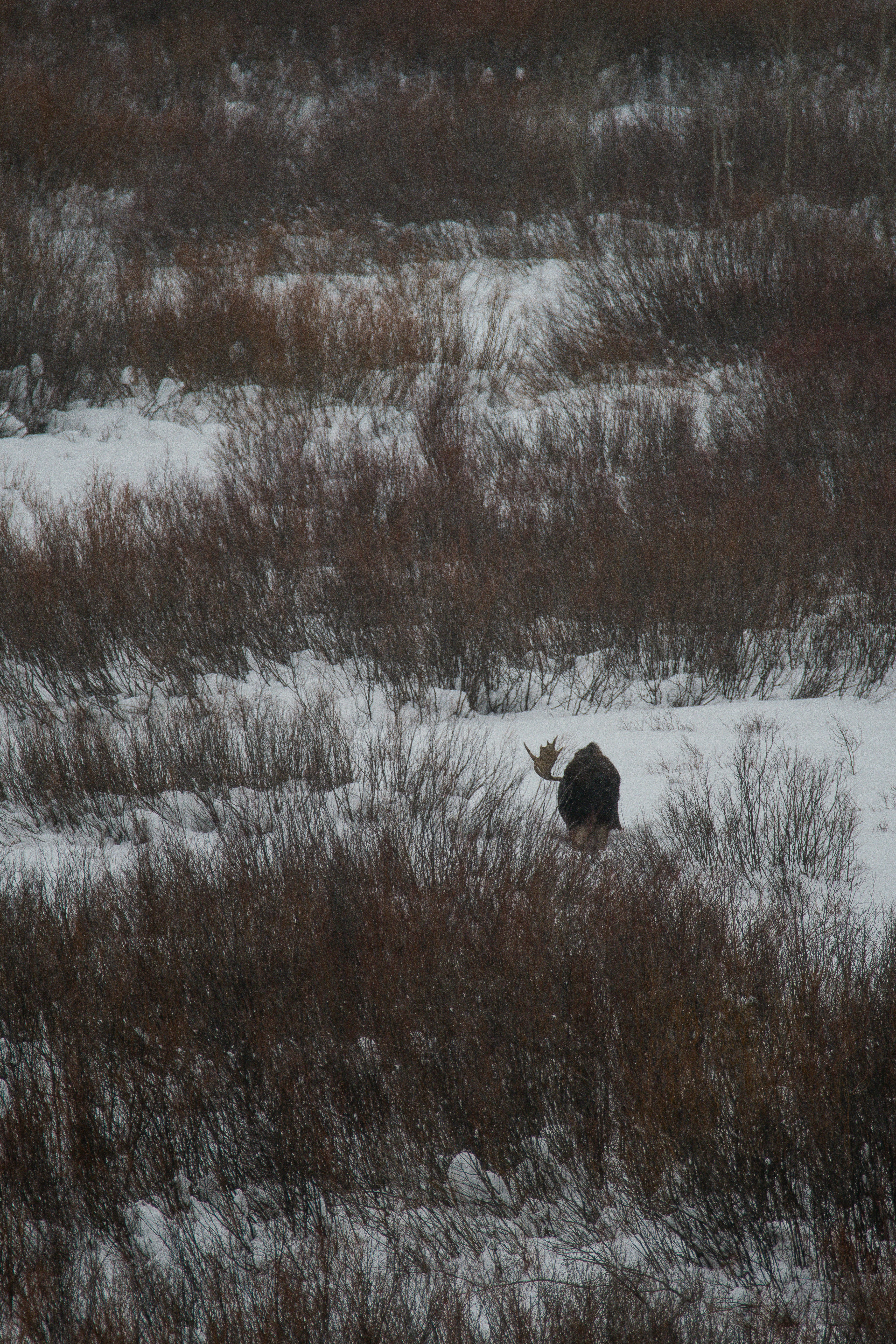 Photo by jackcharles