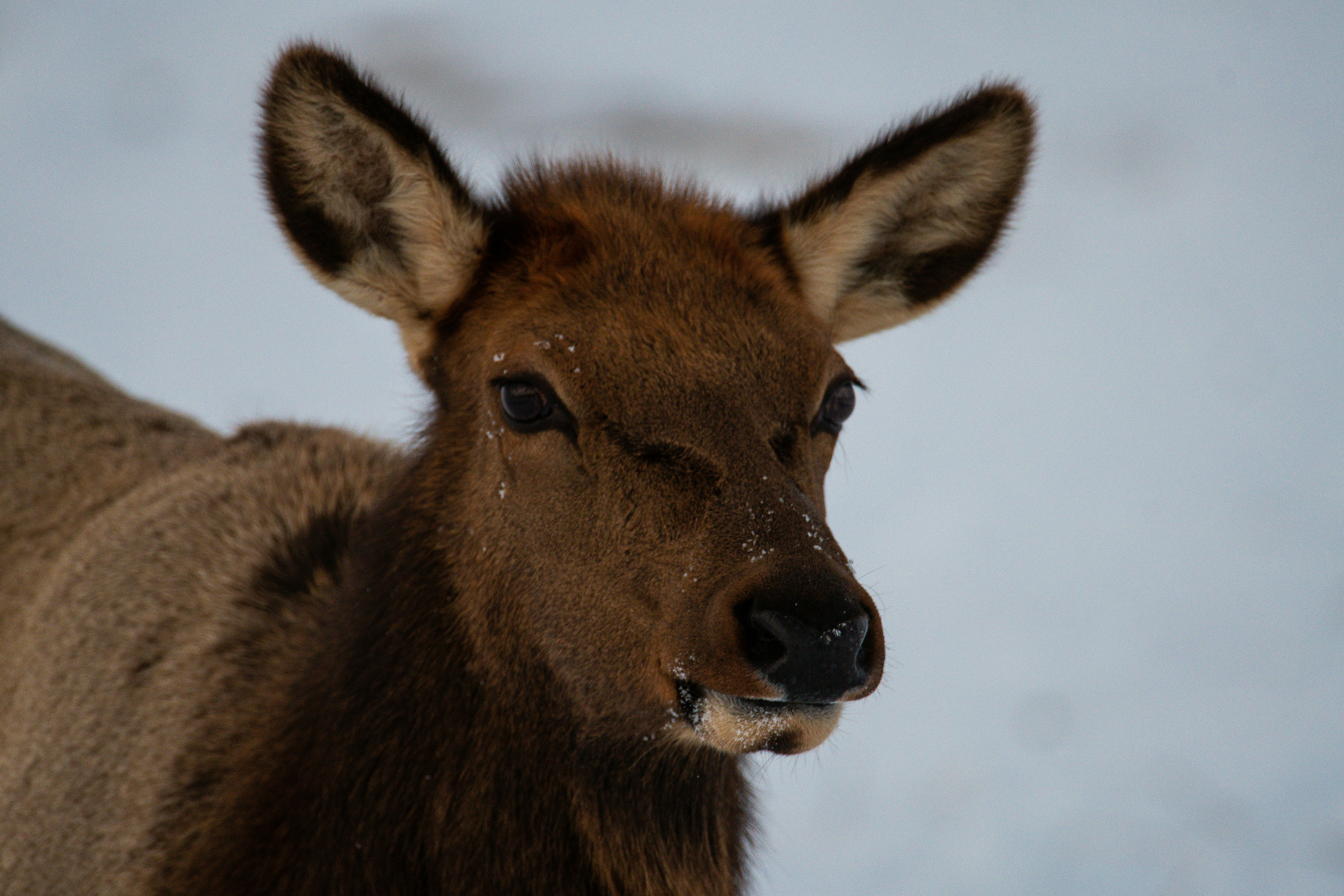 Photo by jackcharles