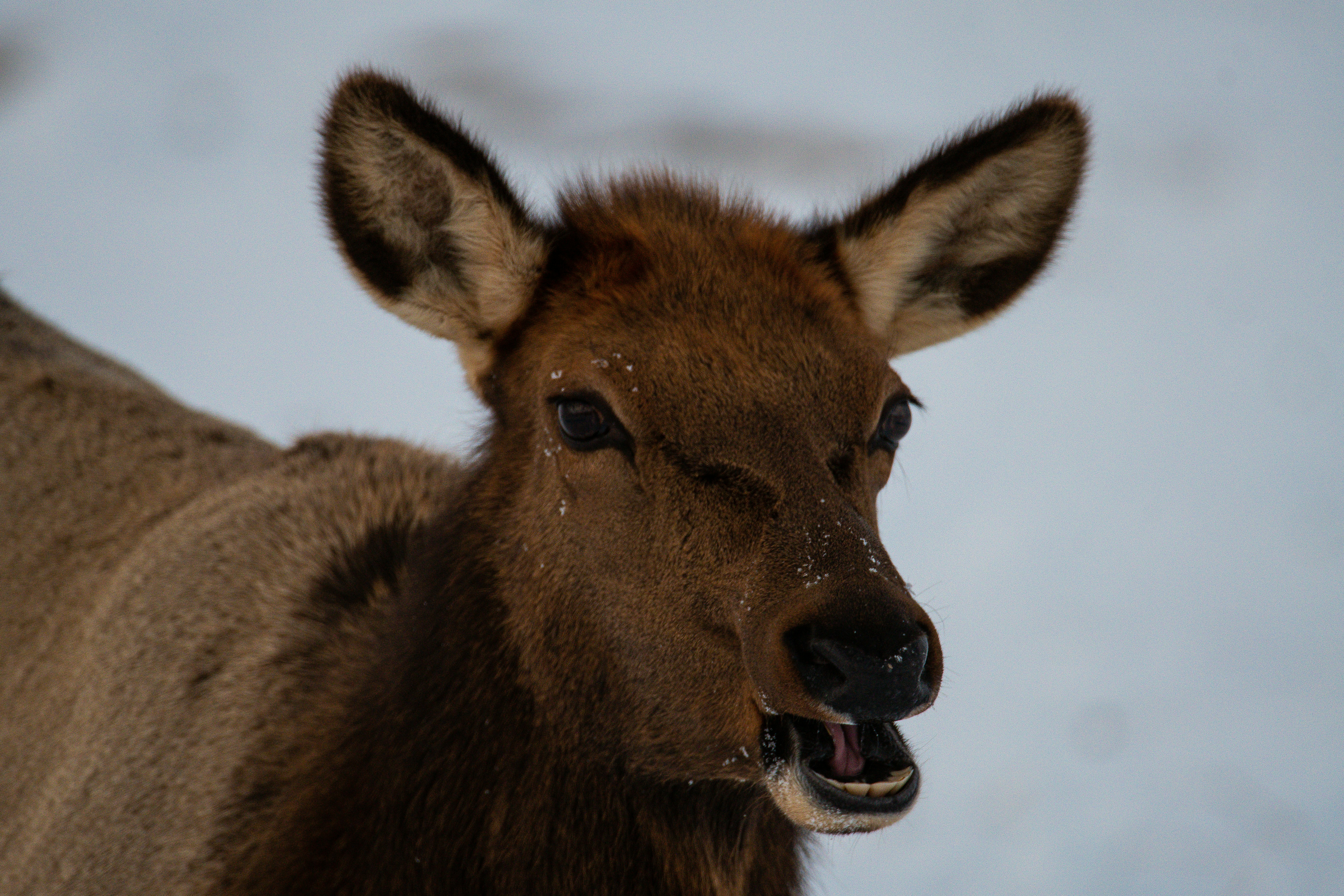 Photo by jackcharles