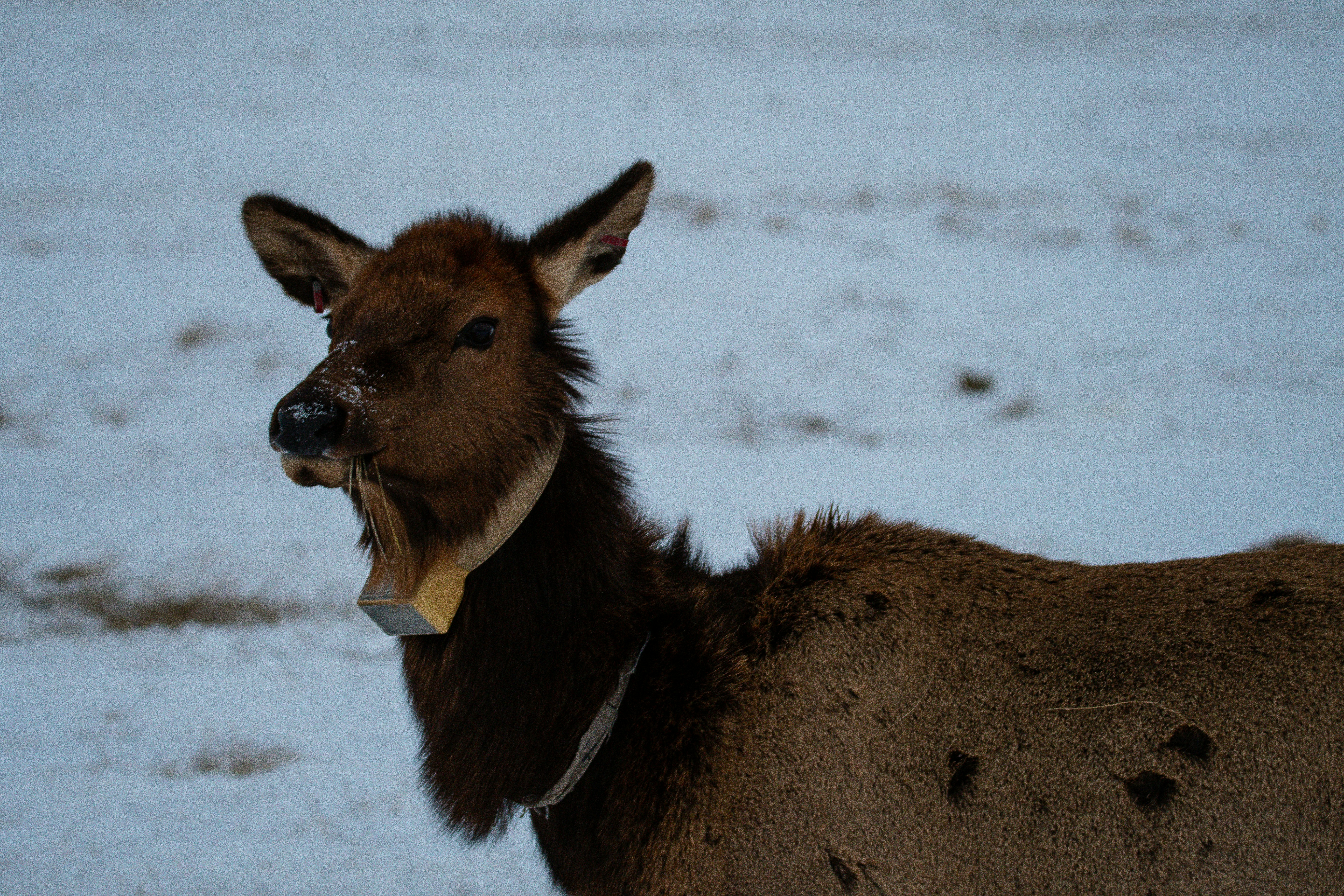 Photo by jackcharles