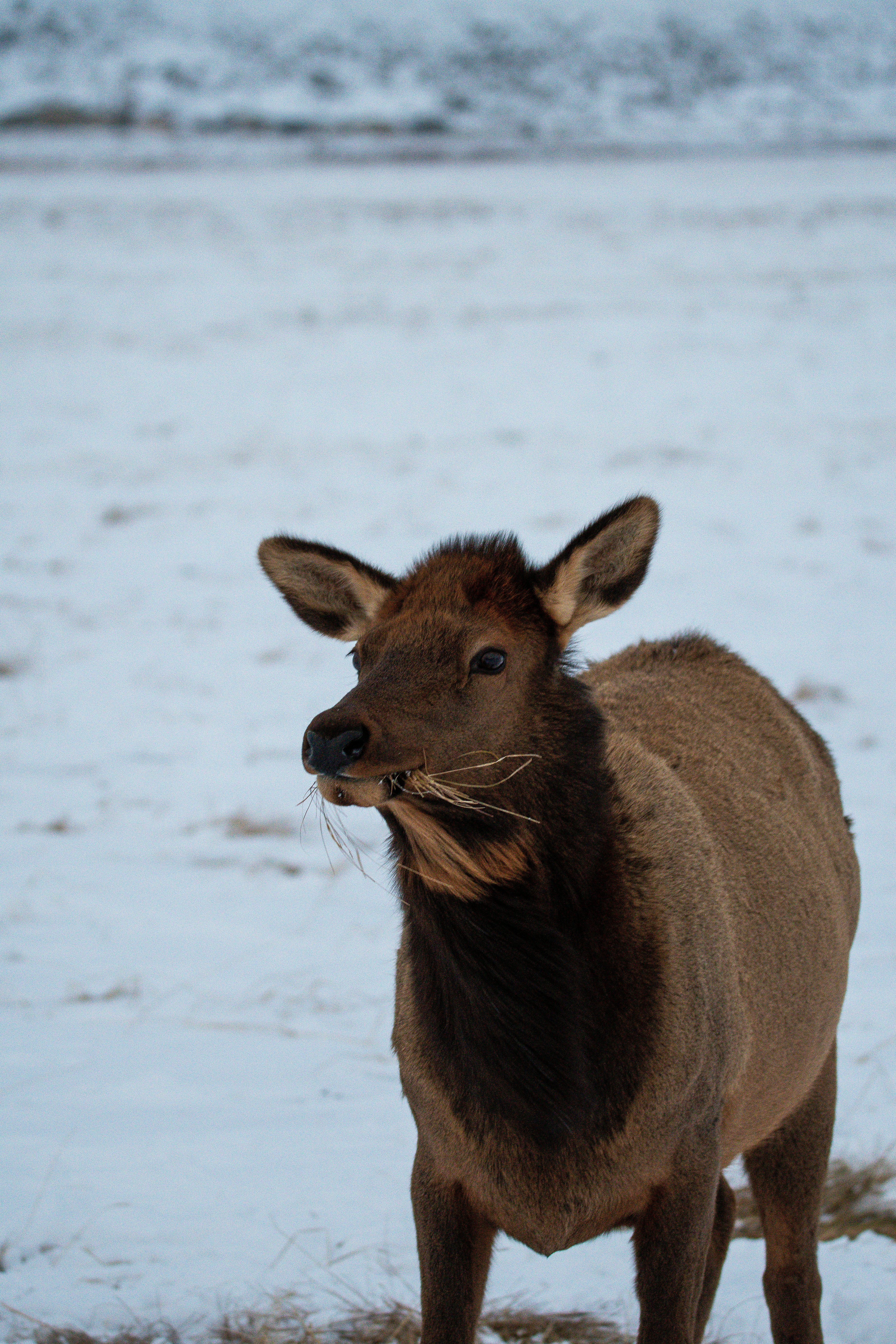 Photo by jackcharles