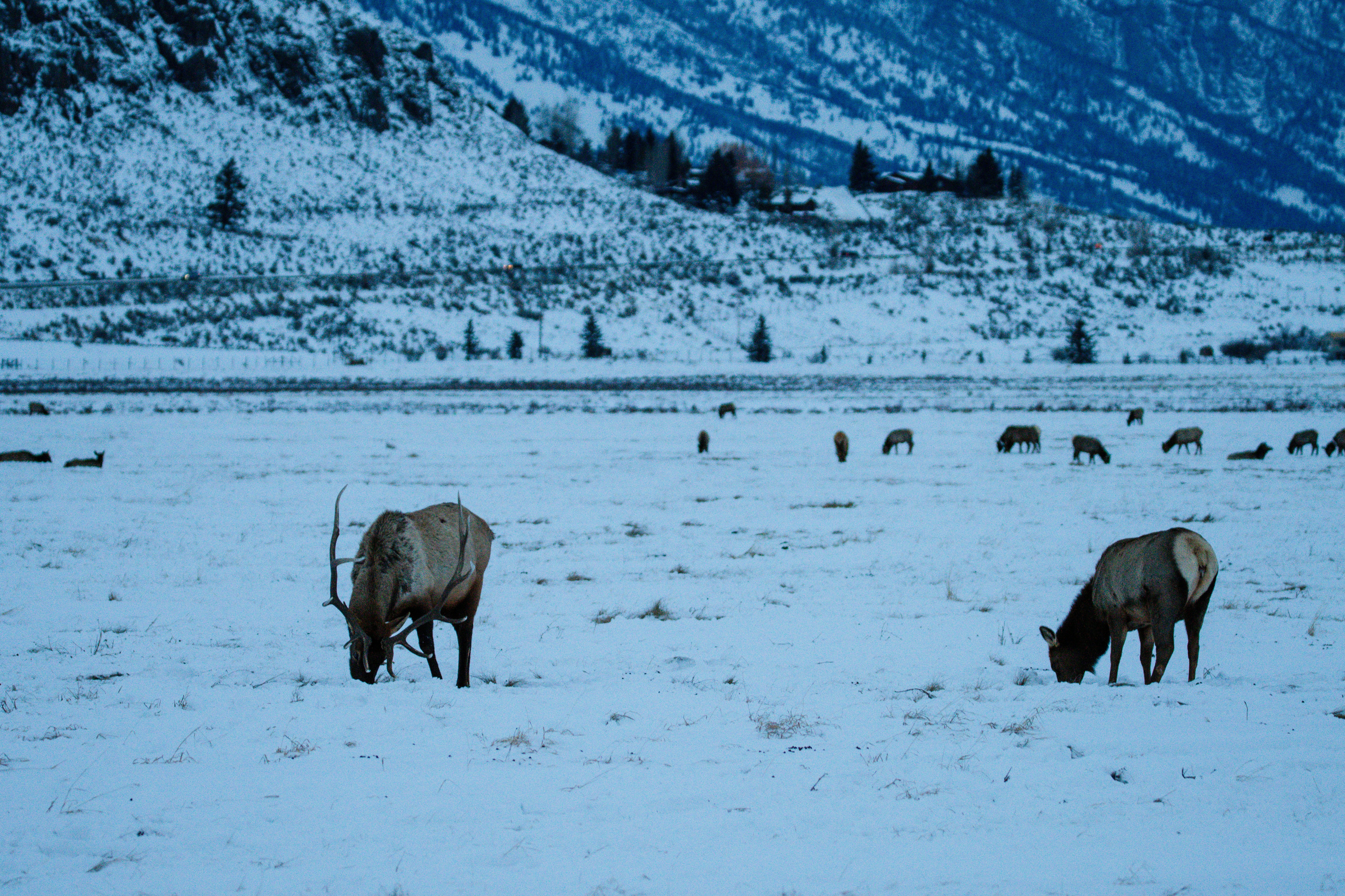 Photo by jackcharles