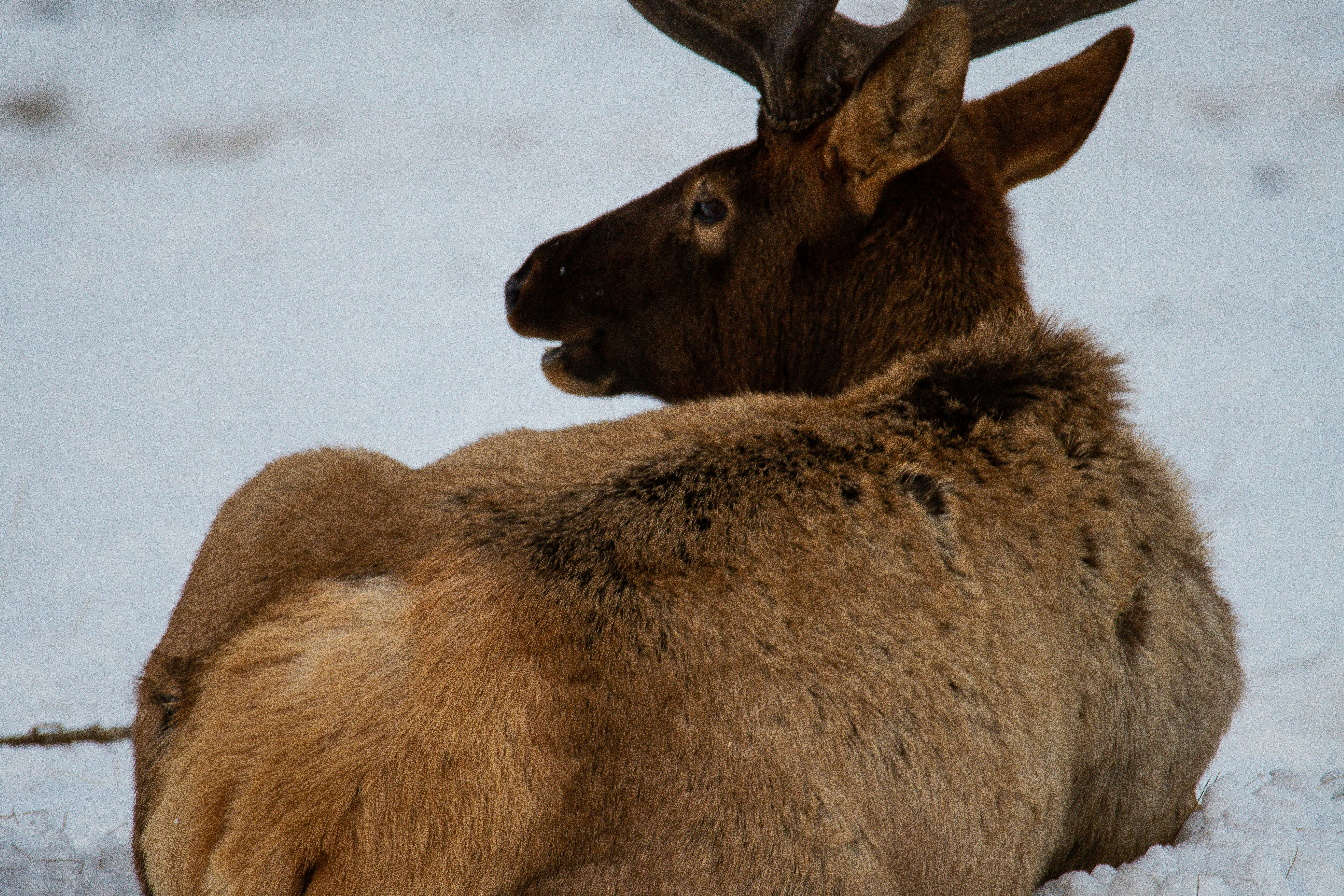 Photo by jackcharles