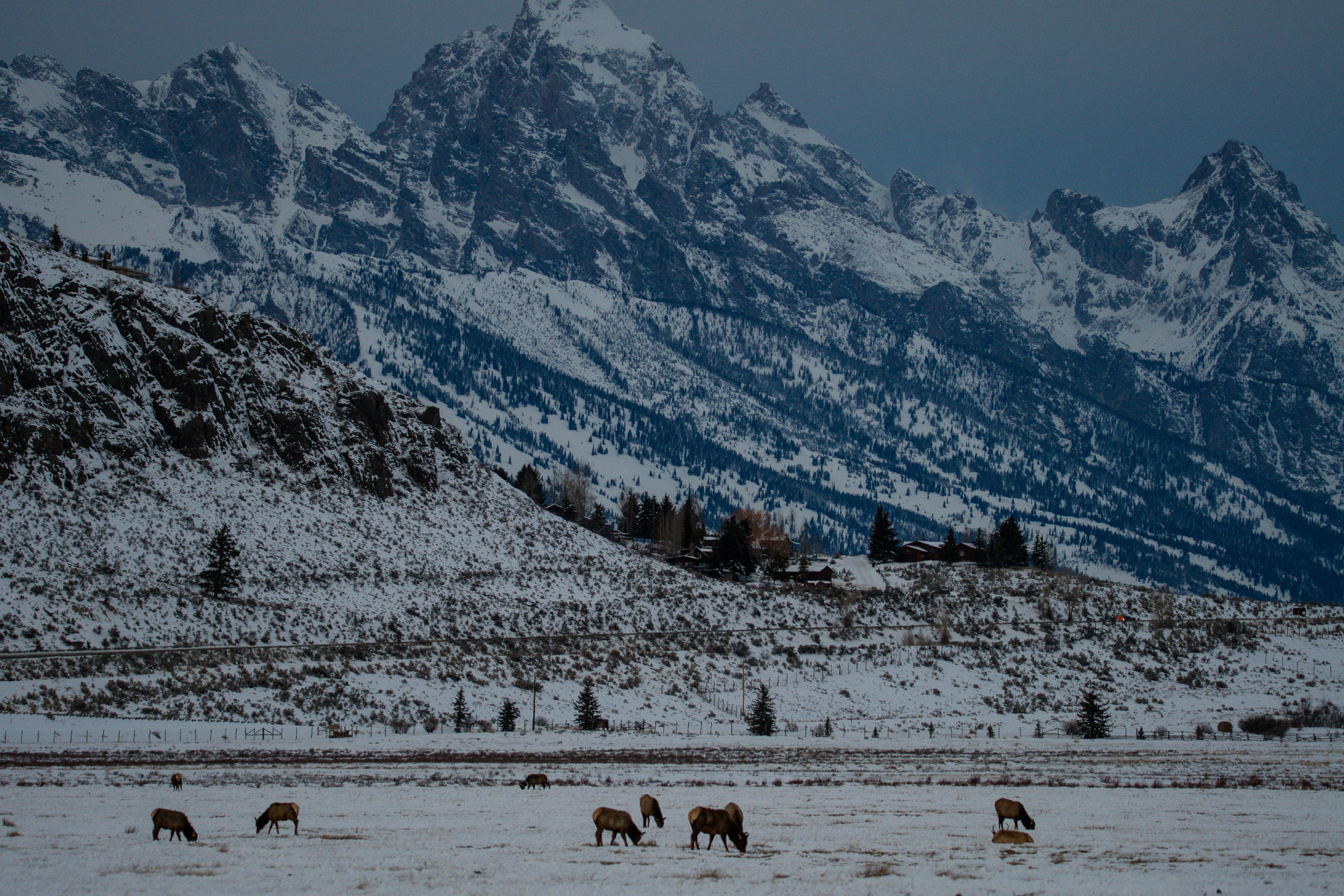 Photo by jackcharles