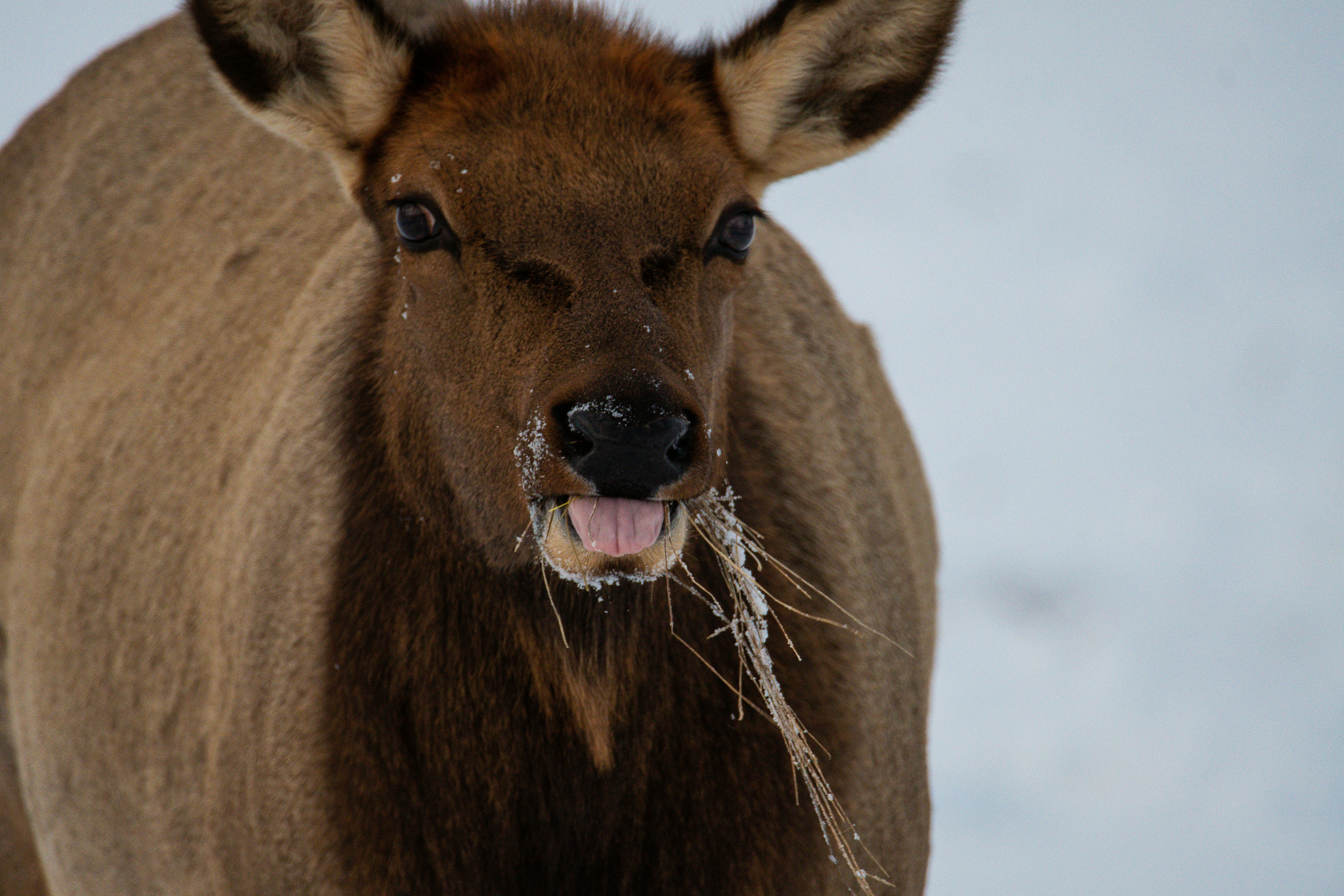 Photo by jackcharles