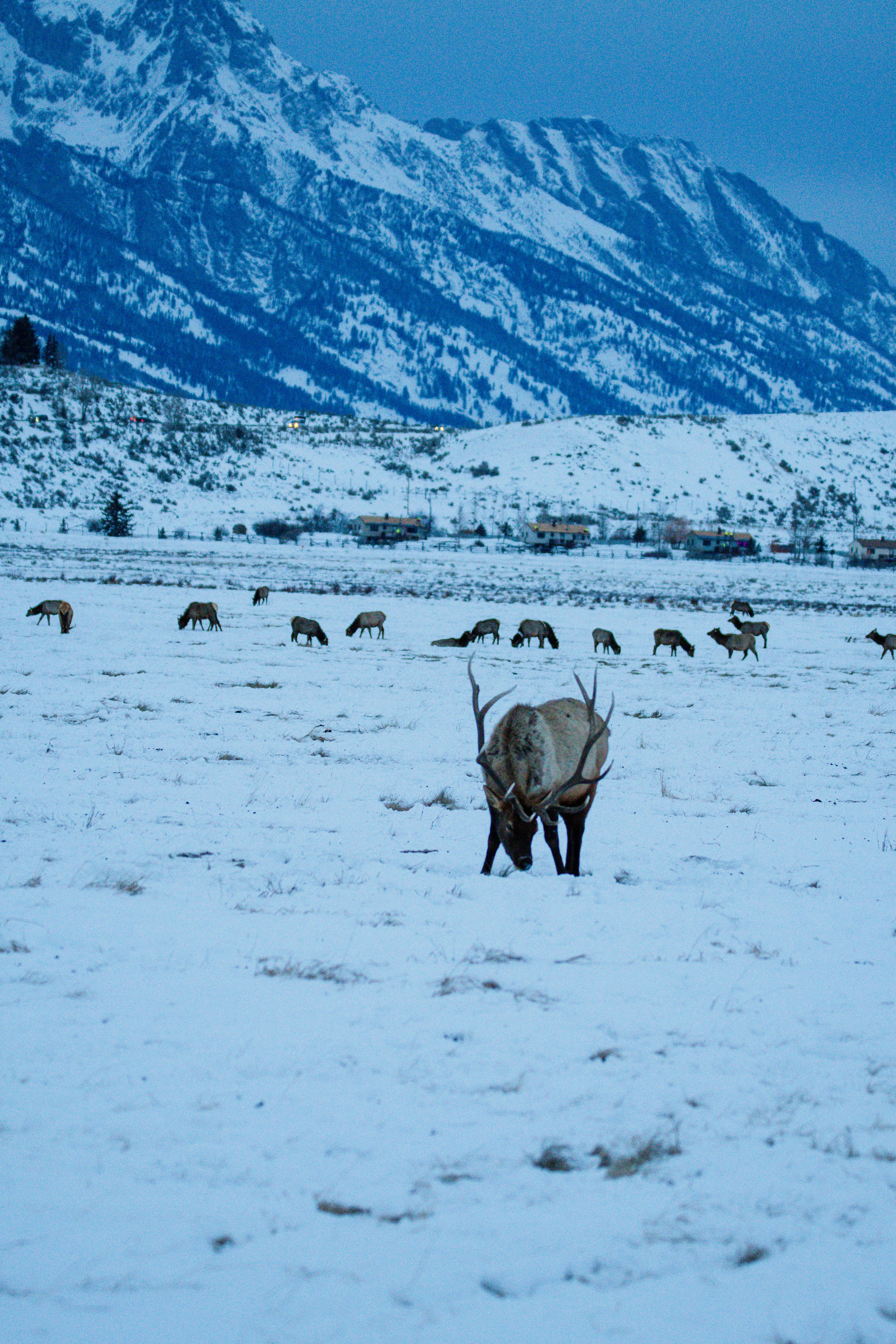 Photo by jackcharles