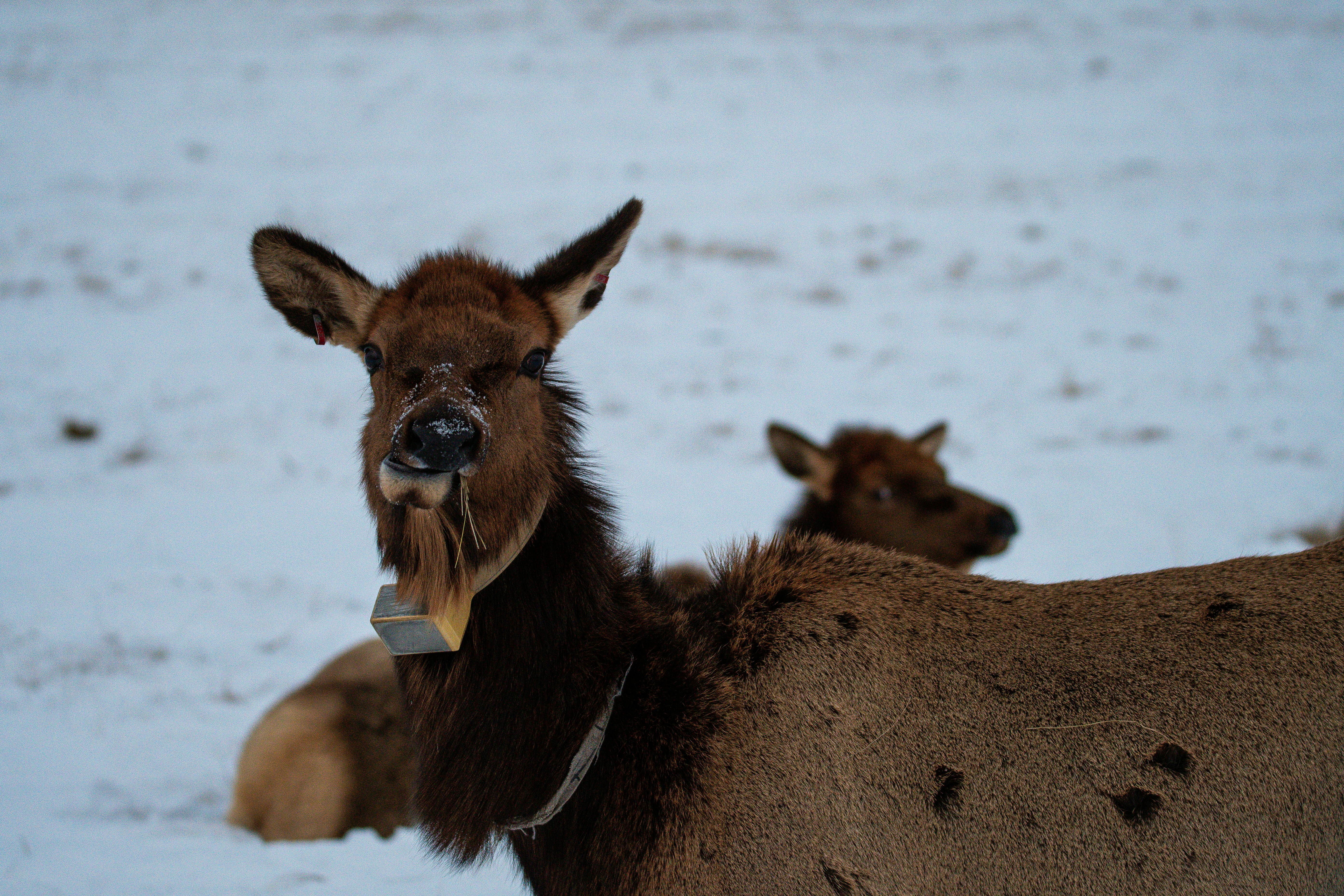Photo by jackcharles