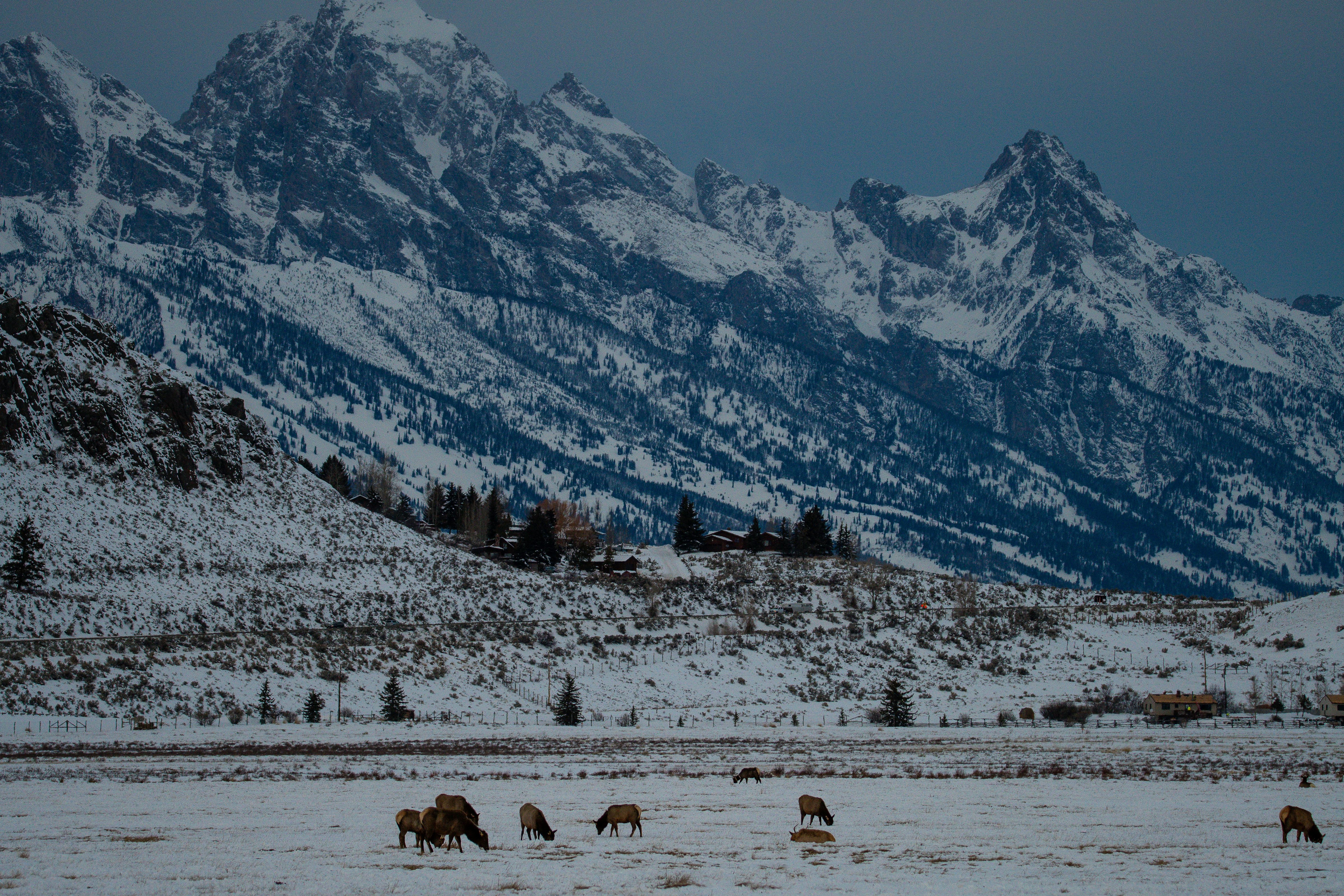 Photo by jackcharles